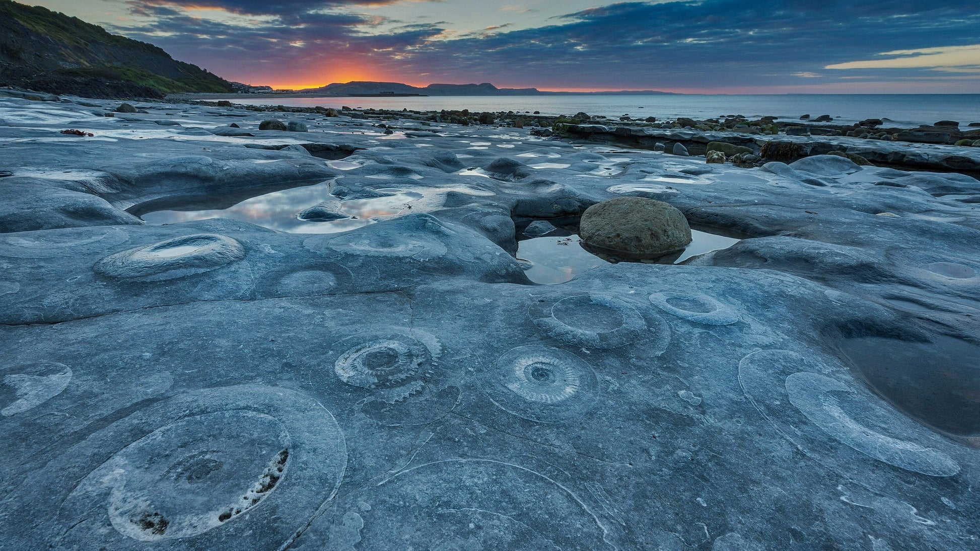 Ammonite Woman