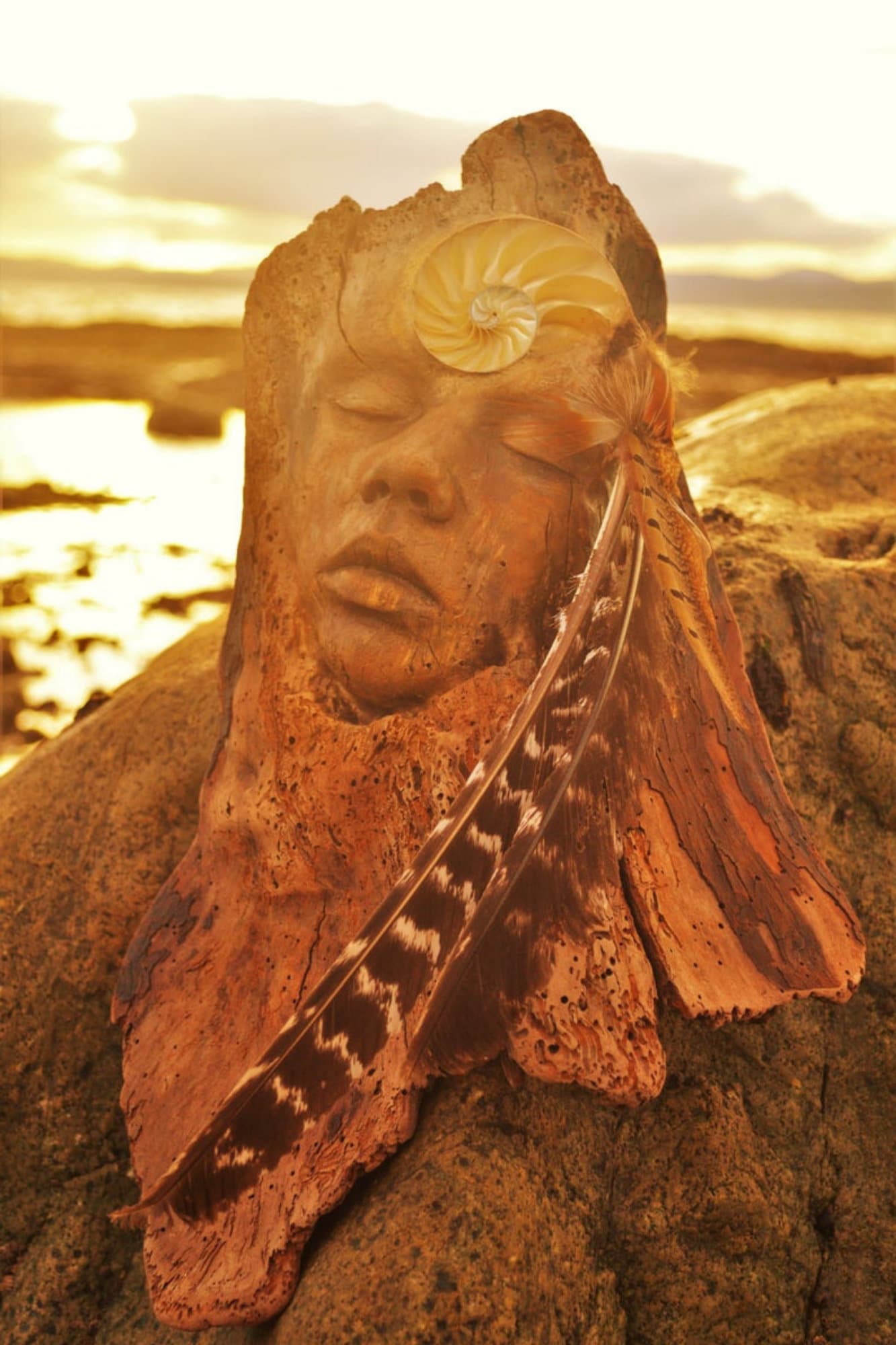 FREE SHIPPING - Art Card, Harmony, Driftwood Face, by Debra Bernier, Shaping Spirit