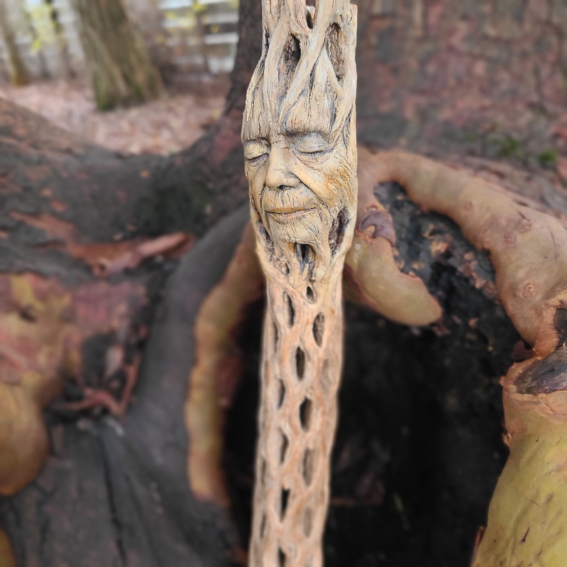 Cholla Wood Woman, by Debra Bernier
