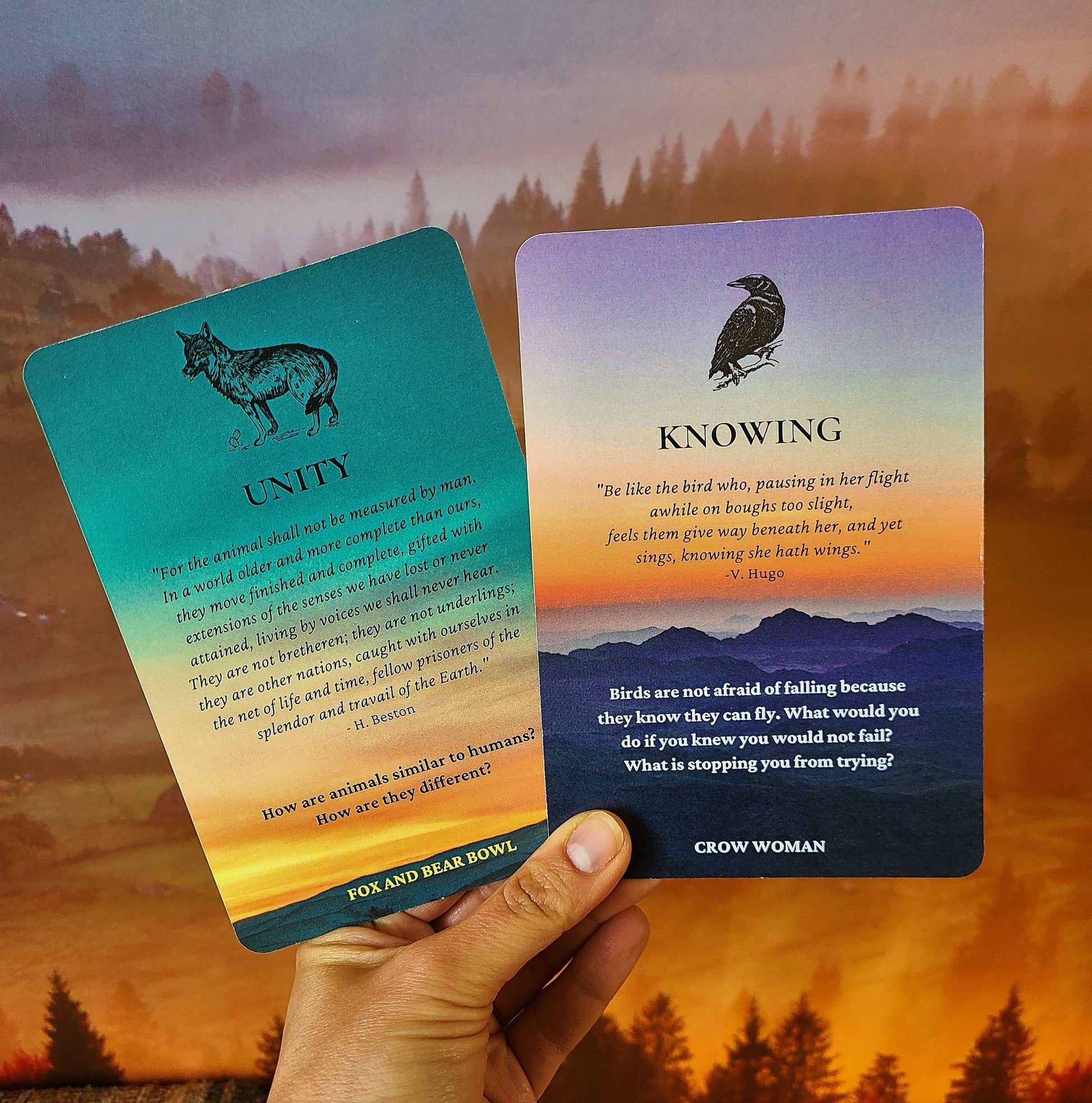 3 pack Journey Deck Collection, Spirit Card  Collection with Guidance Questions by Debra Bernier, ShapingSpirit