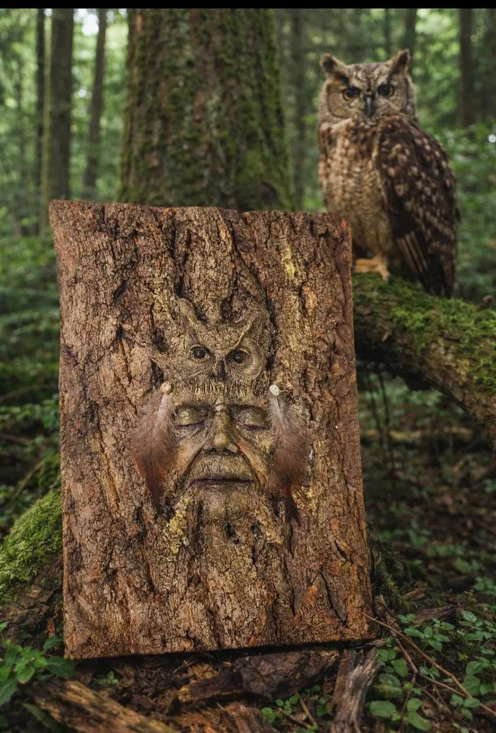 Owl Spirit of the Forest - Tree Bark Owl Sculpture | Spiritual Woodland Art