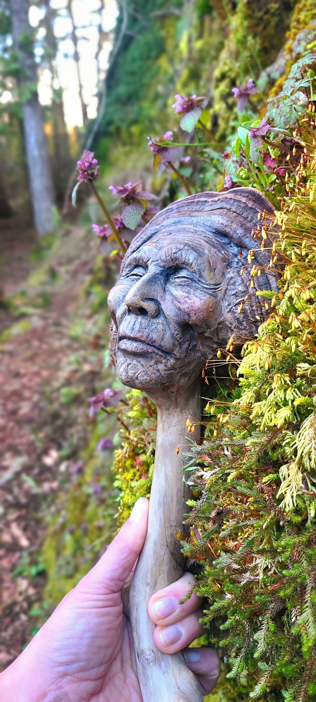 Mushroom Man | Forest Elder