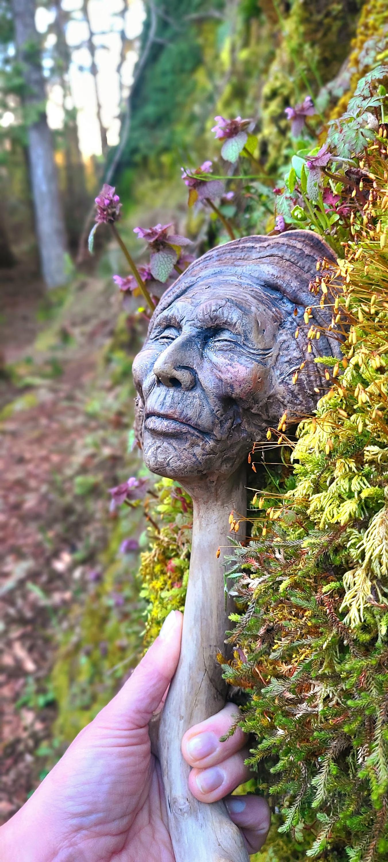 Mushroom Man | Forest Elder