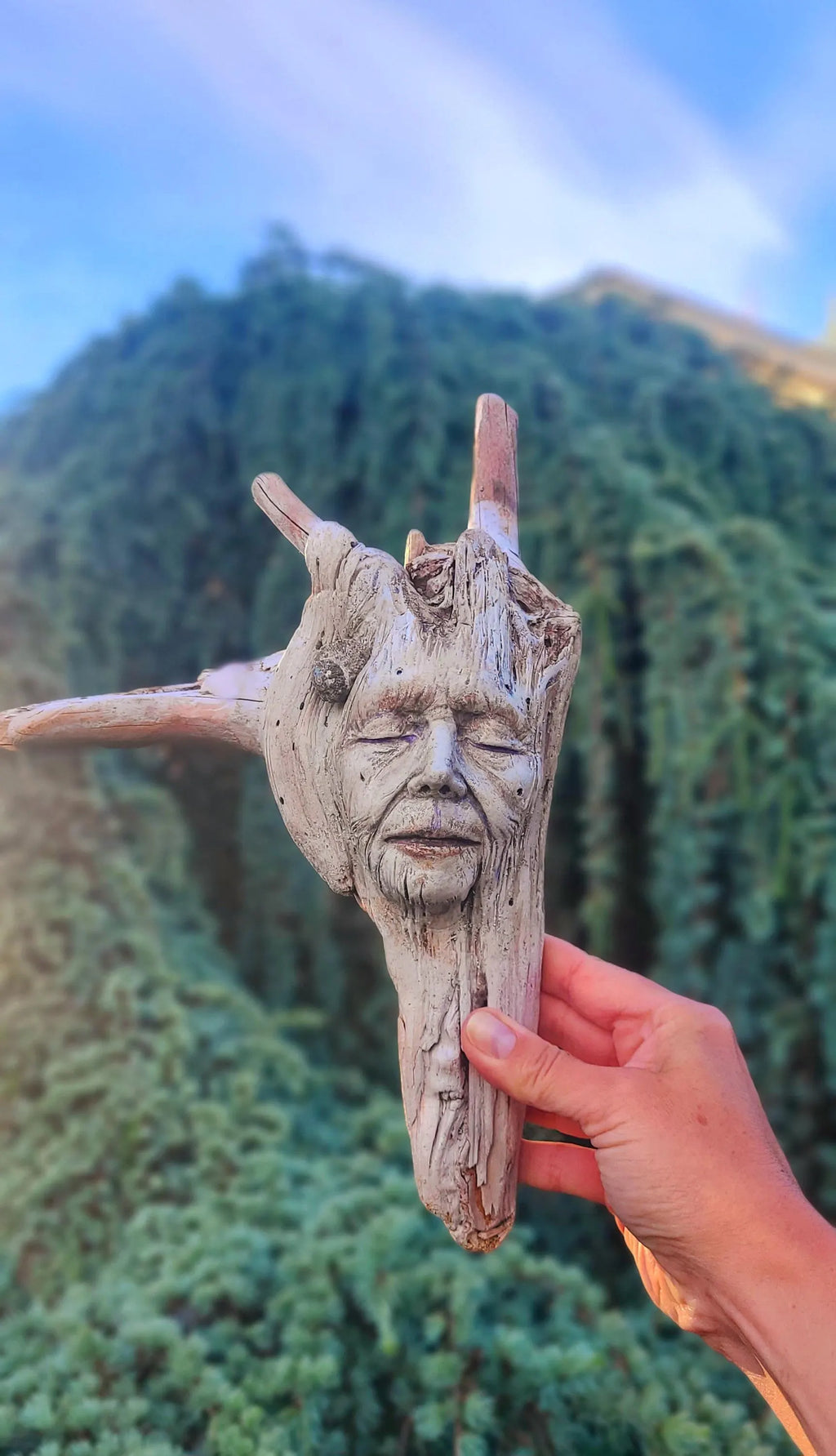The Forest Remembers | Driftwood Honouring Gift