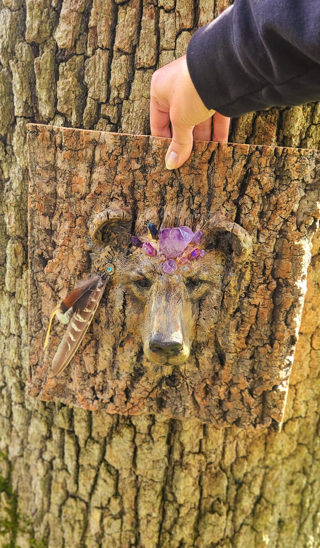 Bear Spirit Animal, Wisdom of the Trees, Bark, Sacred Art Sculpture by Debra Bernier