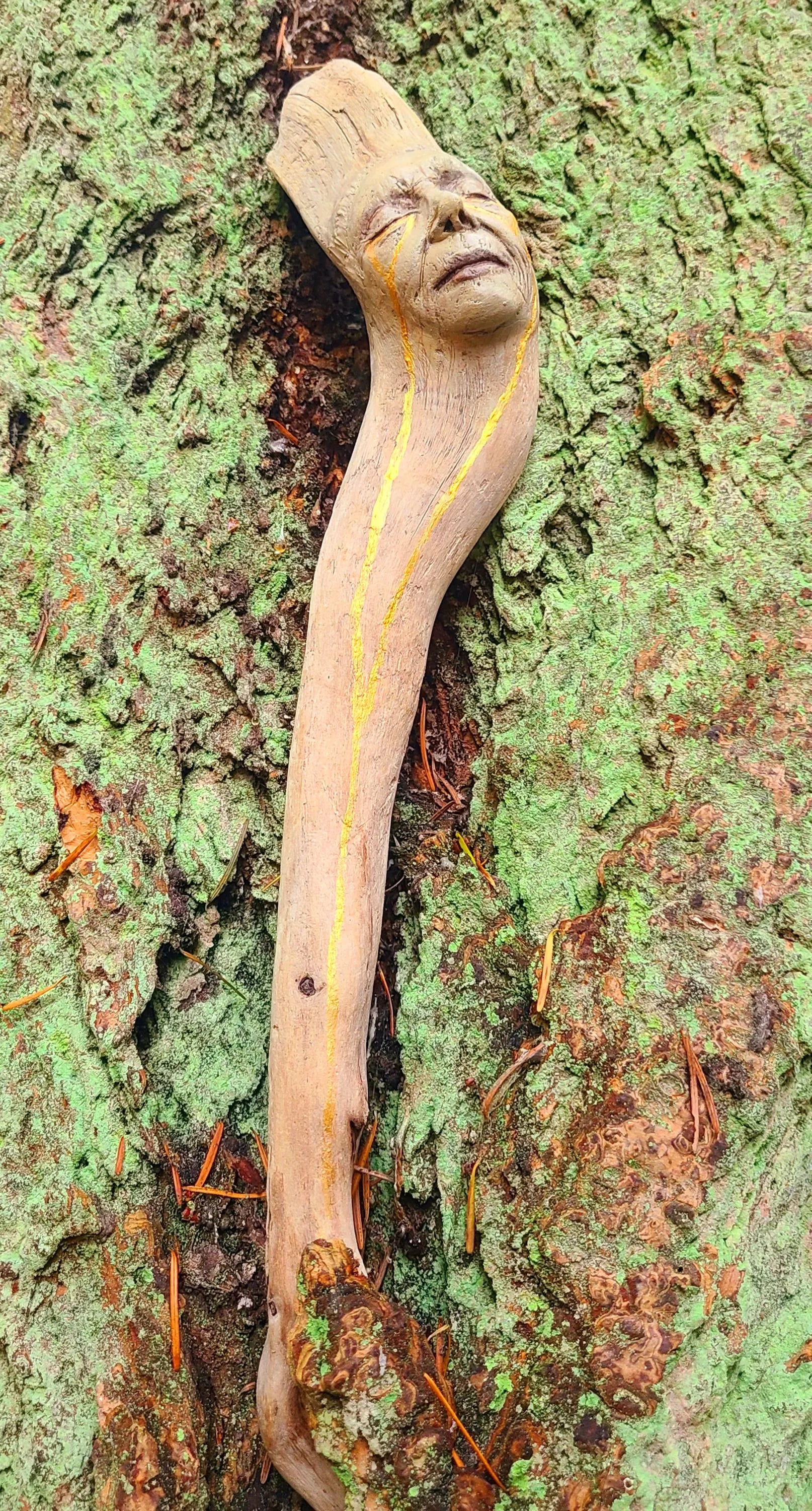 All The Light We Do Not See, Driftwood talking-stick artwork, by Shaping Spirit, Debra Bernier