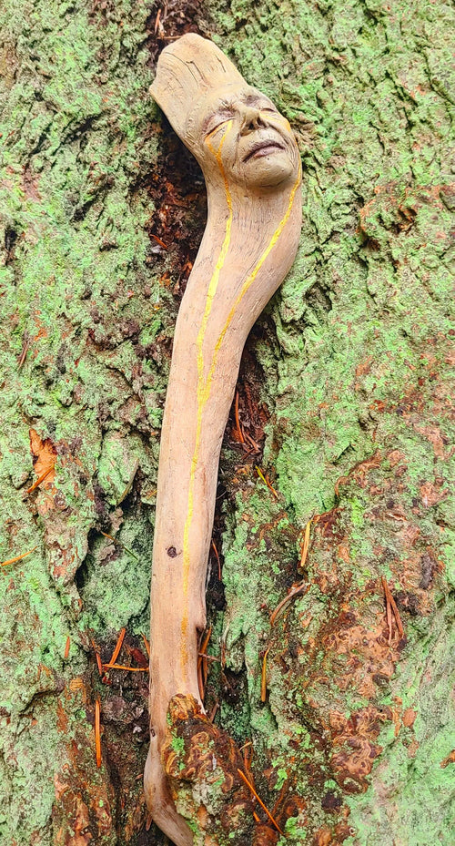 All The Light We Do Not See, Driftwood talking-stick artwork, by Shaping Spirit, Debra Bernier