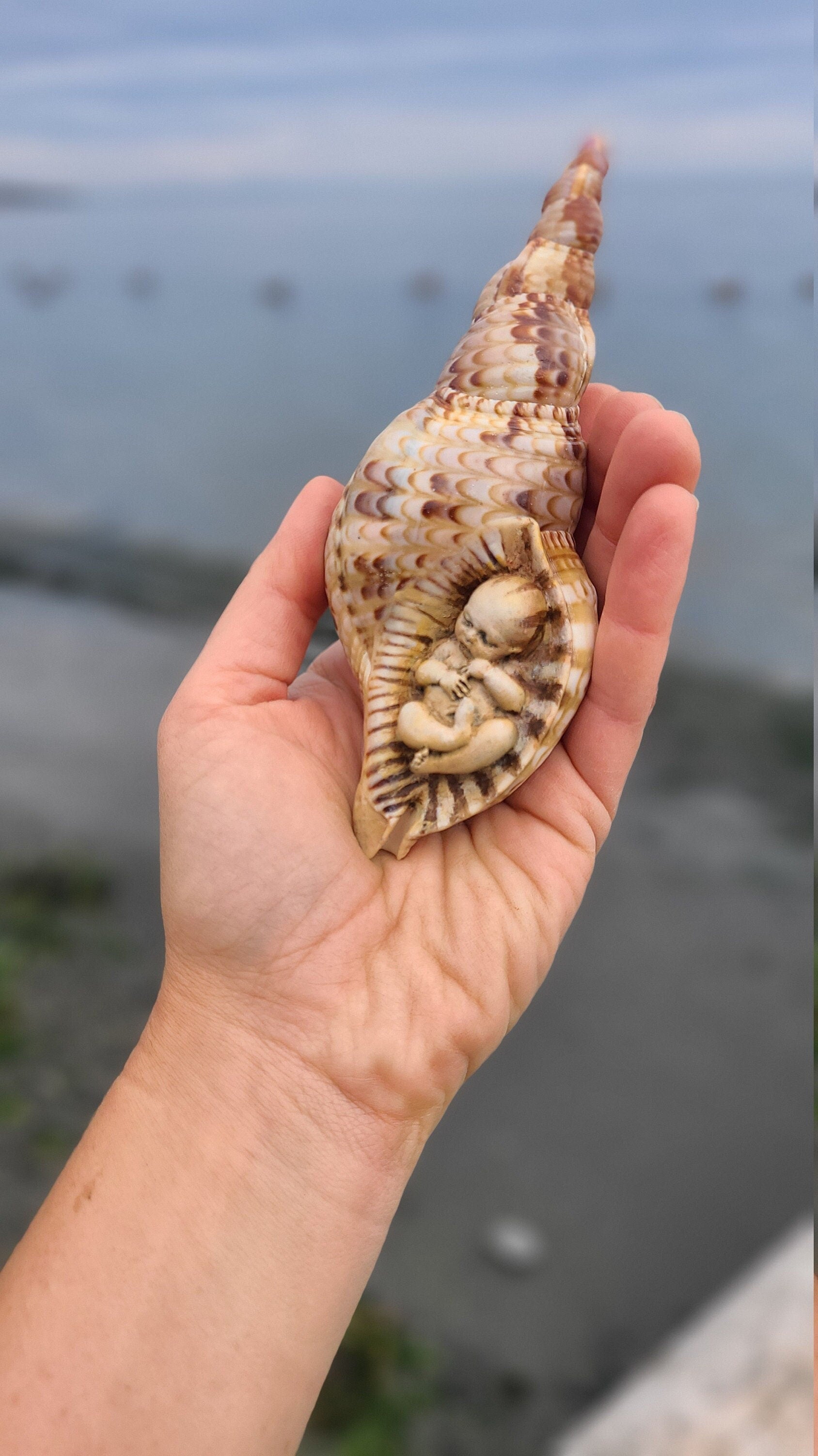 Sweet Dreams, Baby in Triton Shell, By Debra Bernier, ShapingSpirit