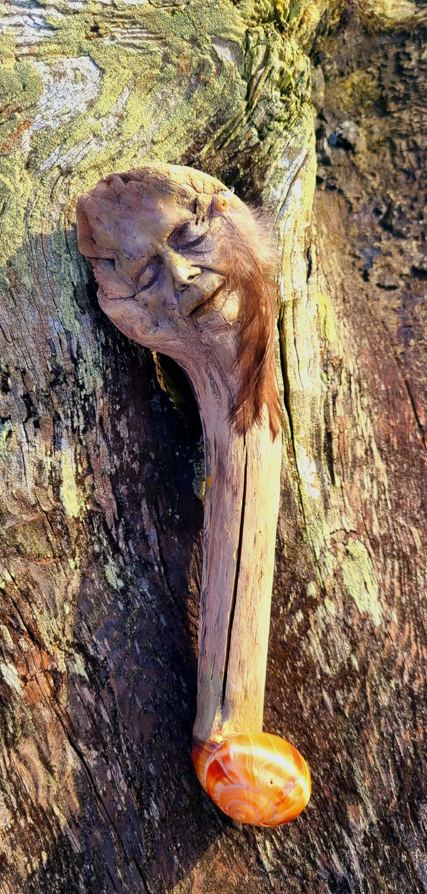 The Lives We Live, Wand with Shell