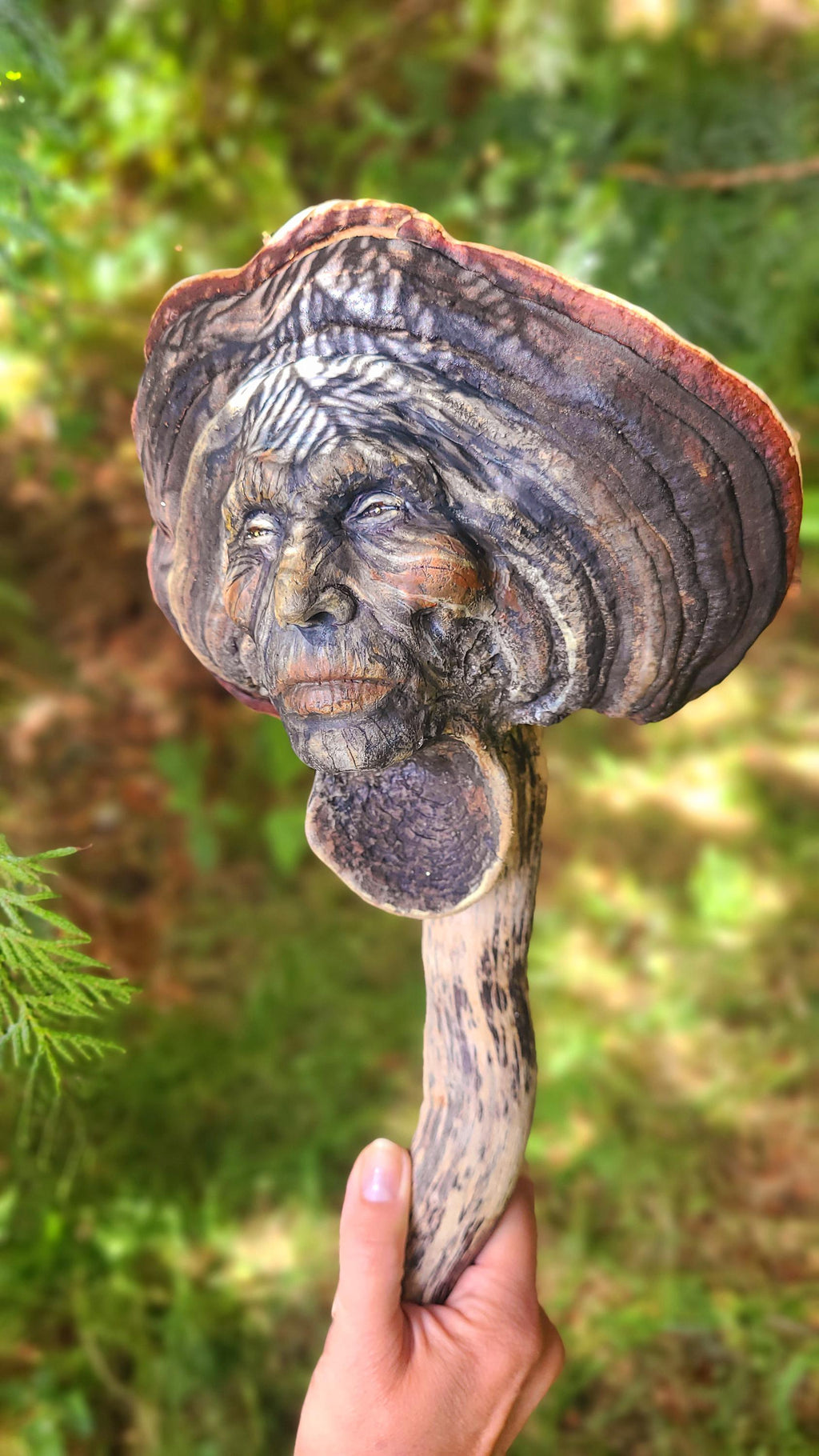 The Mysterious Mushroom | Fungi, Conk Driftwood & Shell Talking Stick