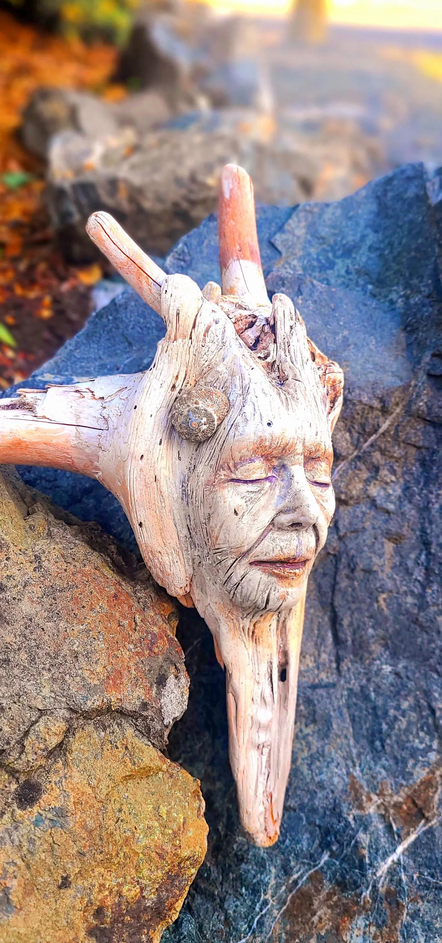 The Forest Remembers | Driftwood Honouring Gift