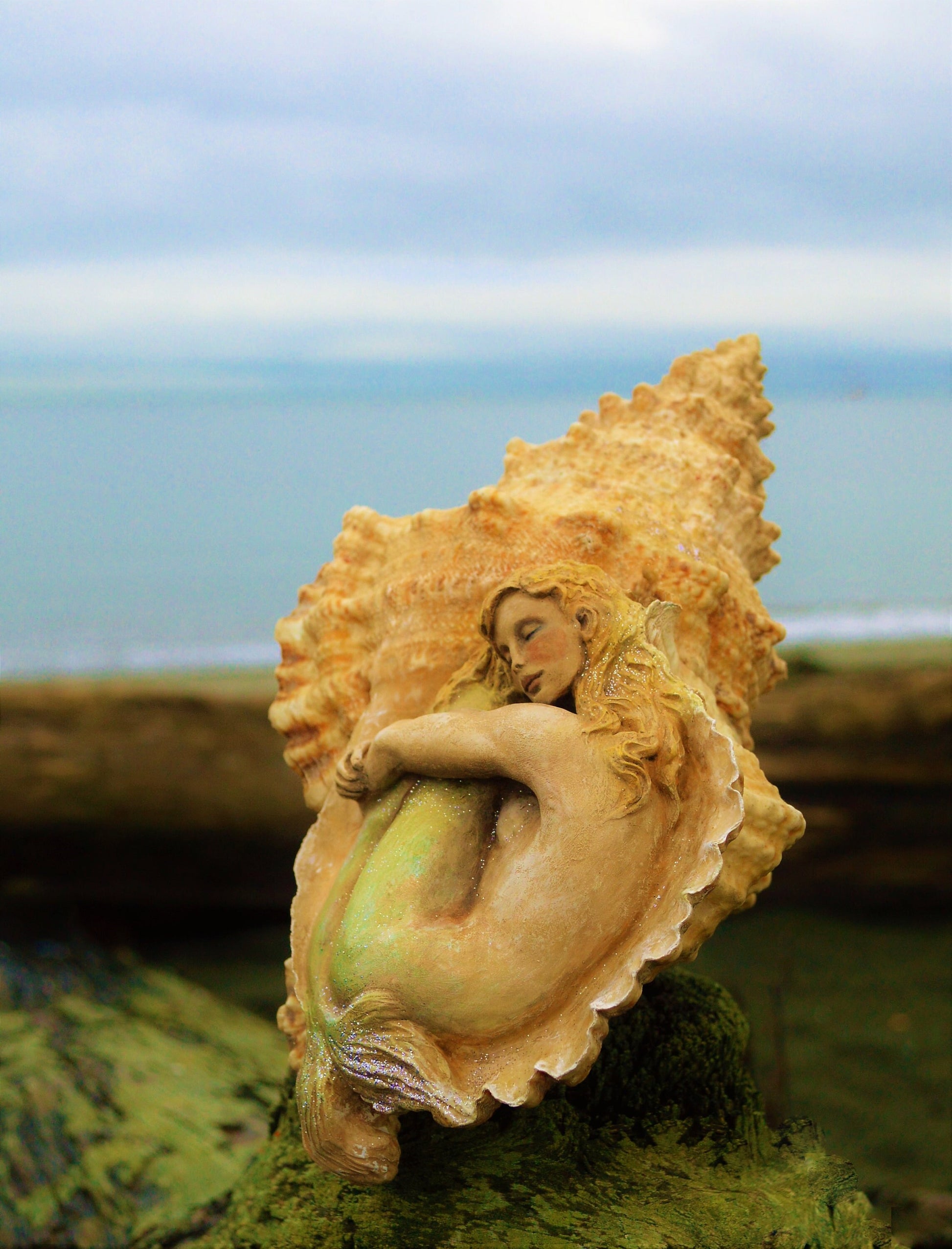 Mermaid Dreams, Shell & Starfish Sculpture