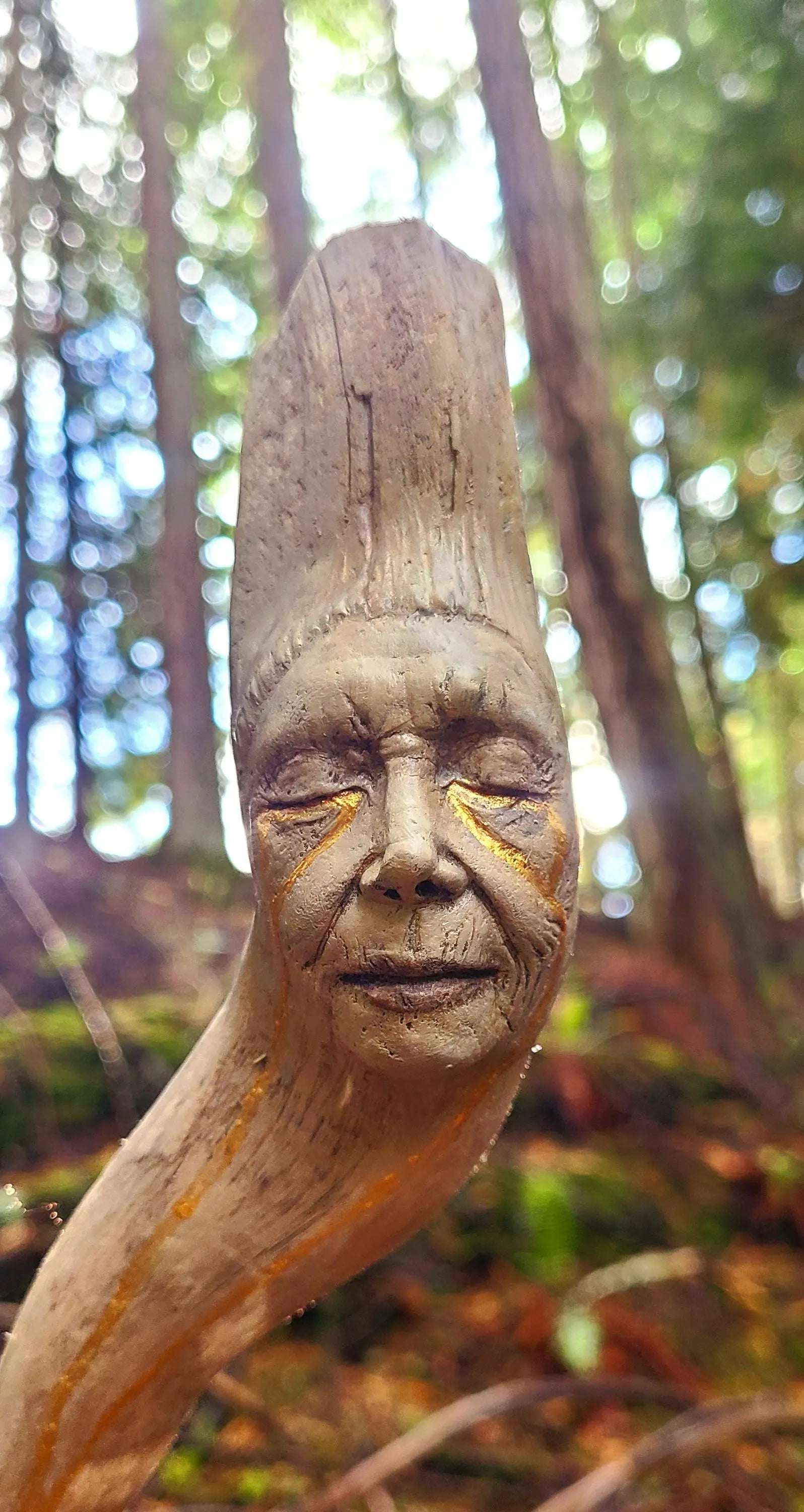 All The Light We Do Not See, Driftwood talking-stick artwork, by Shaping Spirit, Debra Bernier