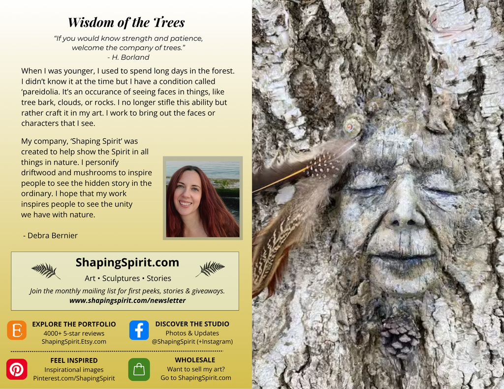 Wisdom of the Trees - Forest Art Card - Nature Inspired Greeting Card