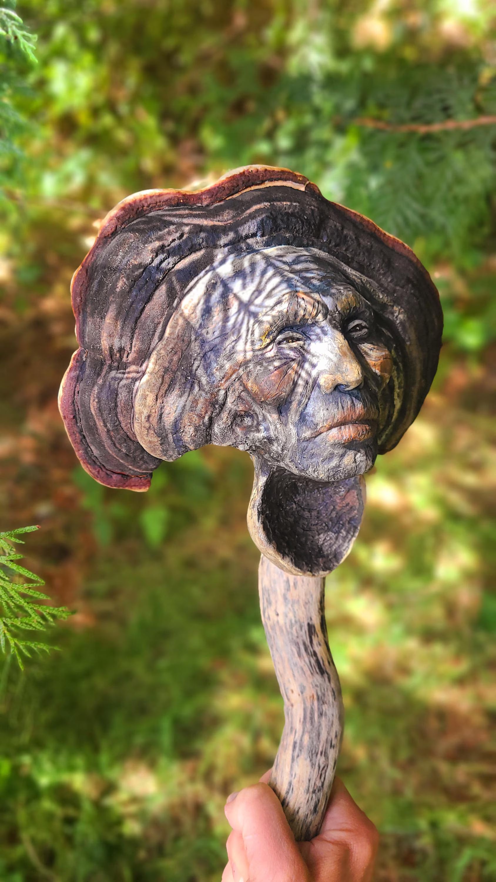 The Mysterious Mushroom | Fungi, Conk Driftwood & Shell Talking Stick