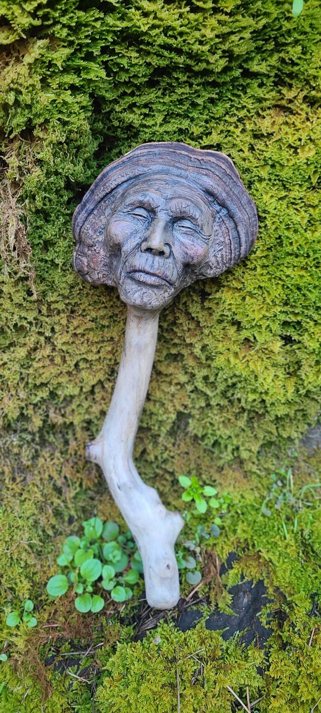 Mushroom Man | Forest Elder