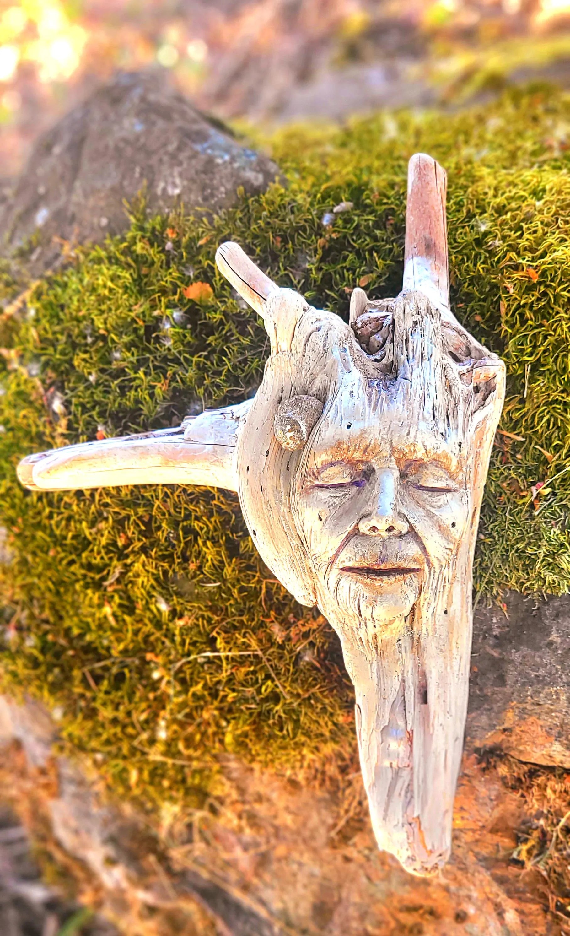 The Forest Remembers | Driftwood Honouring Gift