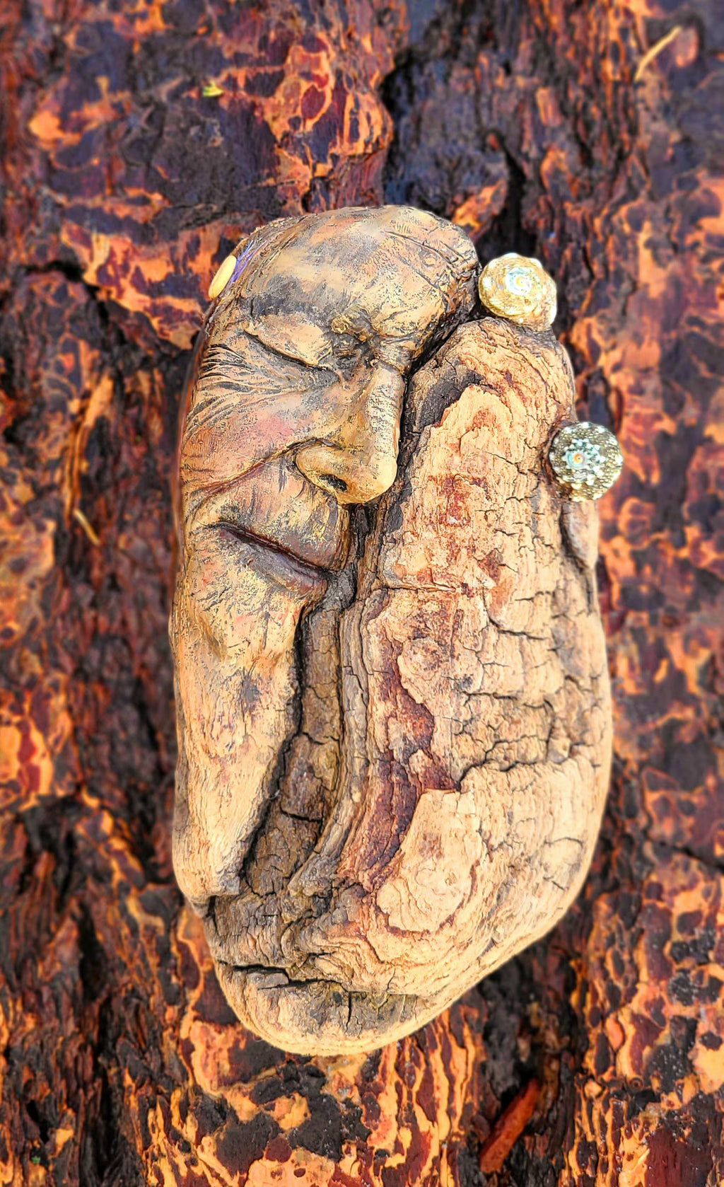 Resting Woman - Driftwood Bark Woman Sleeping Spirit