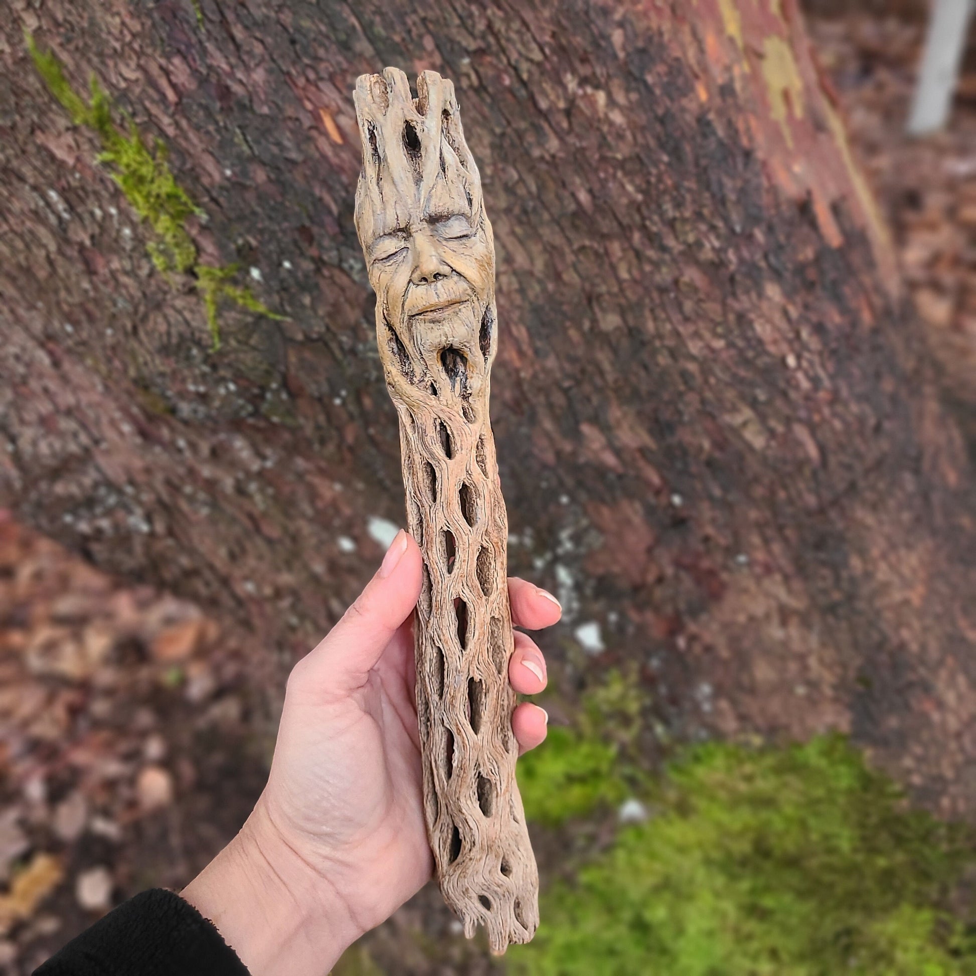 Cholla Wood Woman, by Debra Bernier