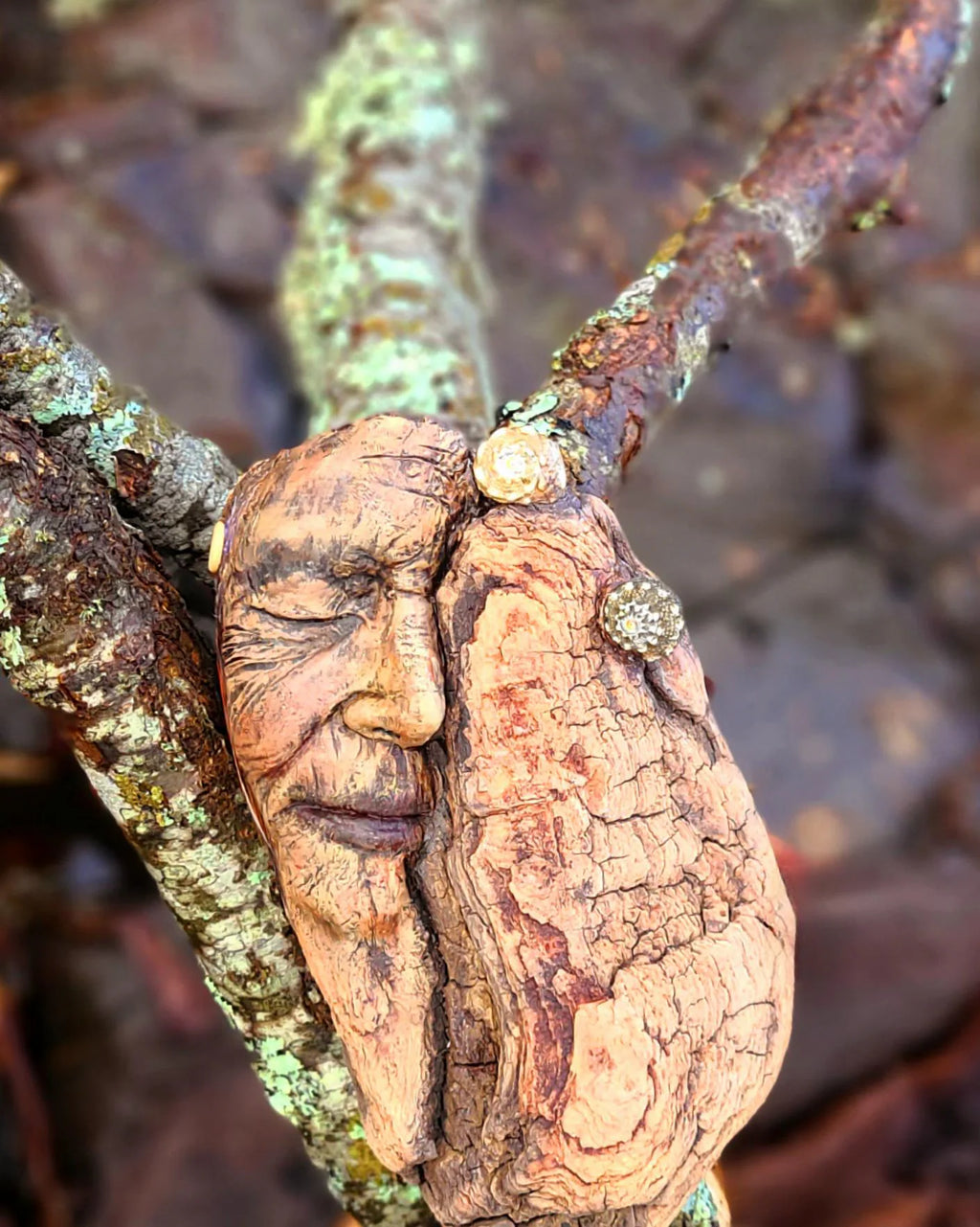 Resting Woman - Driftwood Bark Woman Sleeping Spirit