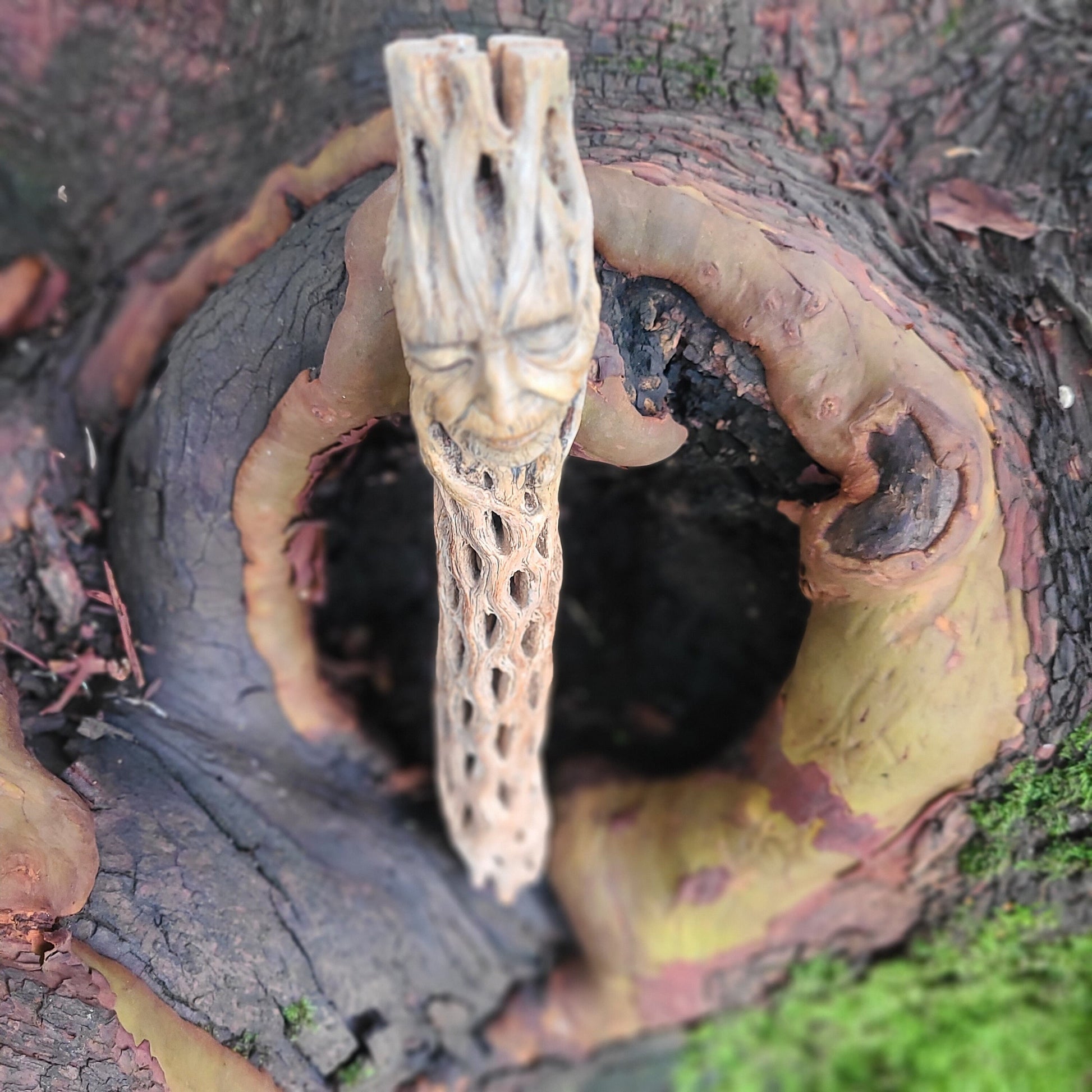 Cholla Wood Woman, by Debra Bernier