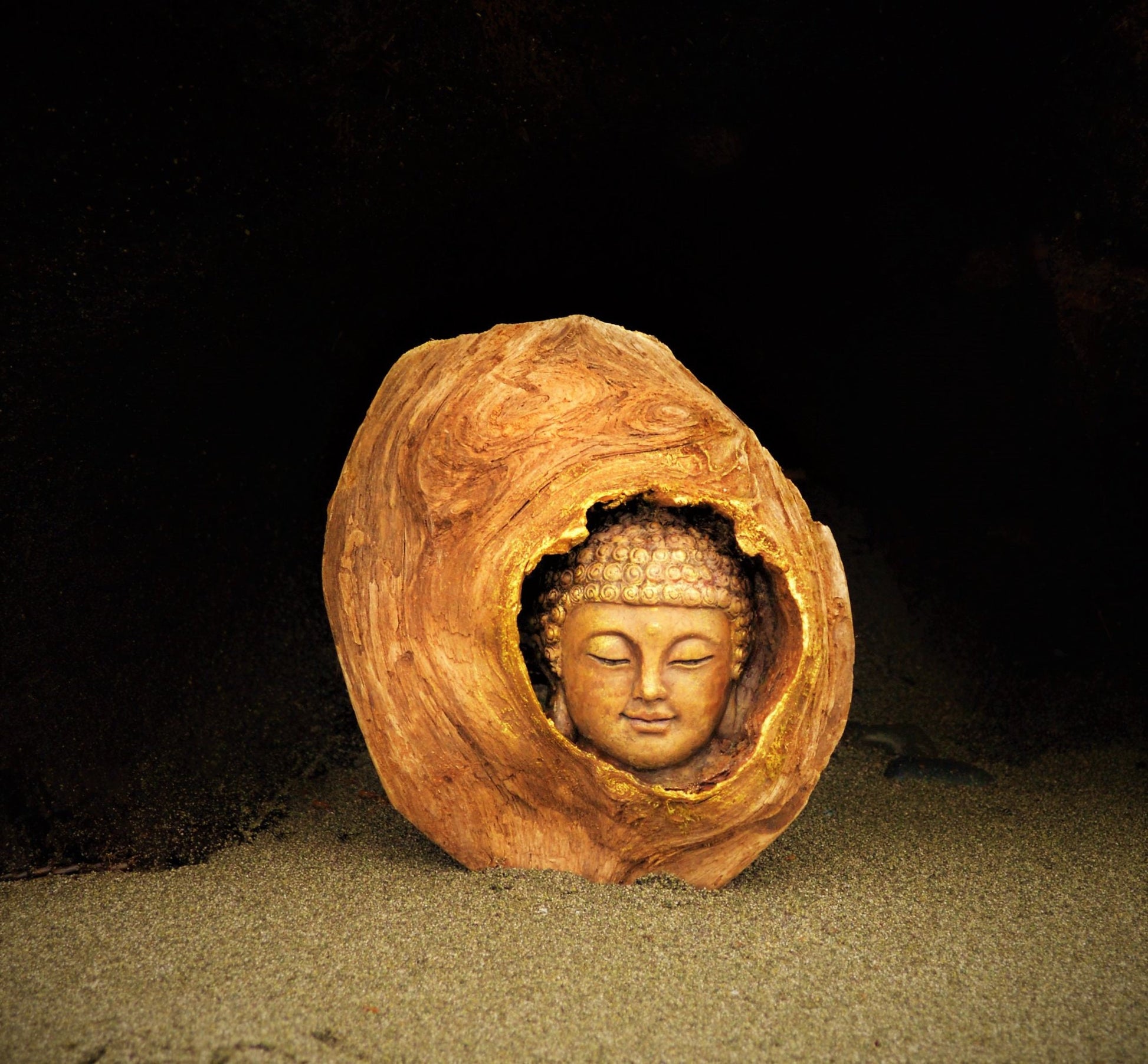 FREE SHIPPING - Art Card, Harmony, Driftwood Face, by Debra Bernier, Shaping Spirit