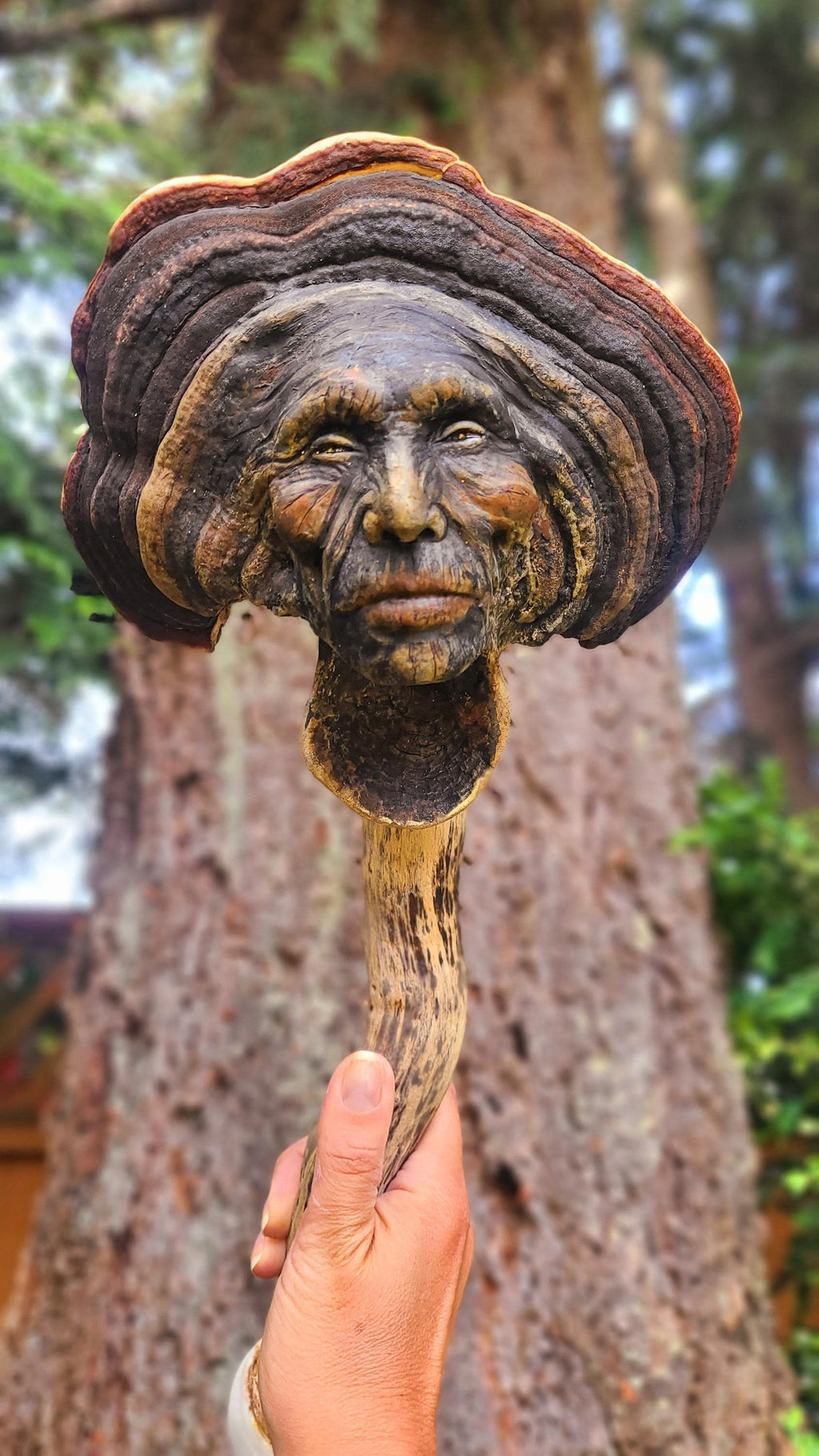 The Mysterious Mushroom | Fungi, Conk Driftwood & Shell Talking Stick