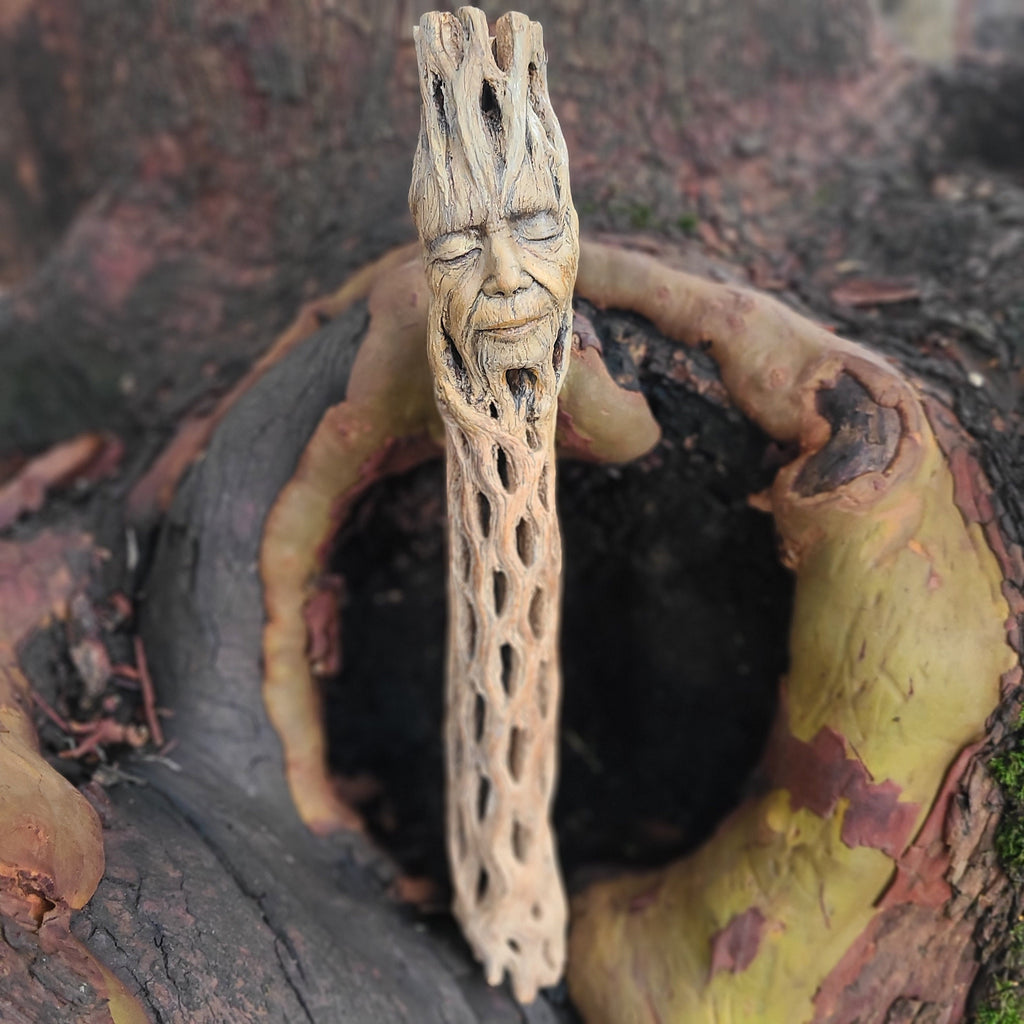 Cholla Wood Woman, by Debra Bernier