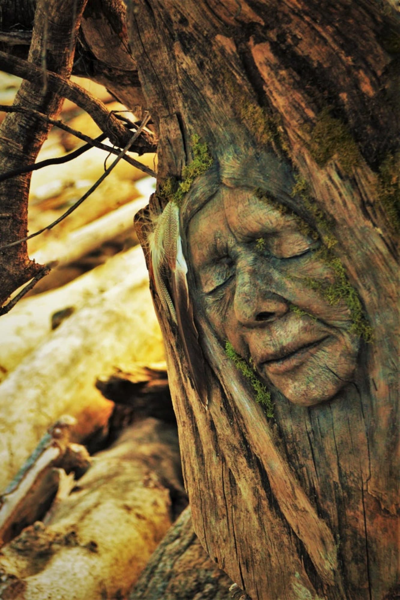 FREE SHIPPING - Art Card, Grandmother Willow, by Debra Bernier, Shaping Spirit