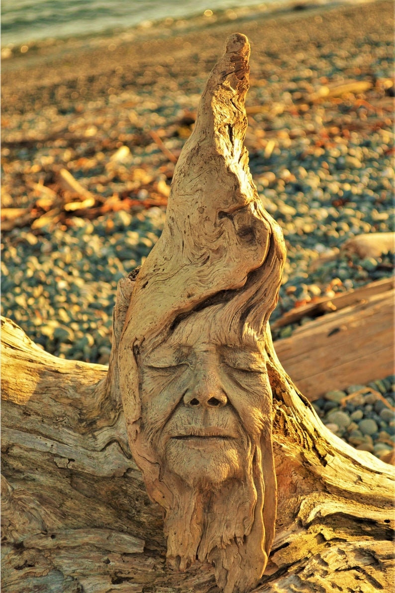 Digital Image, "Wisdom in Wood" - High Resolution, Printable Art by Debra Bernier