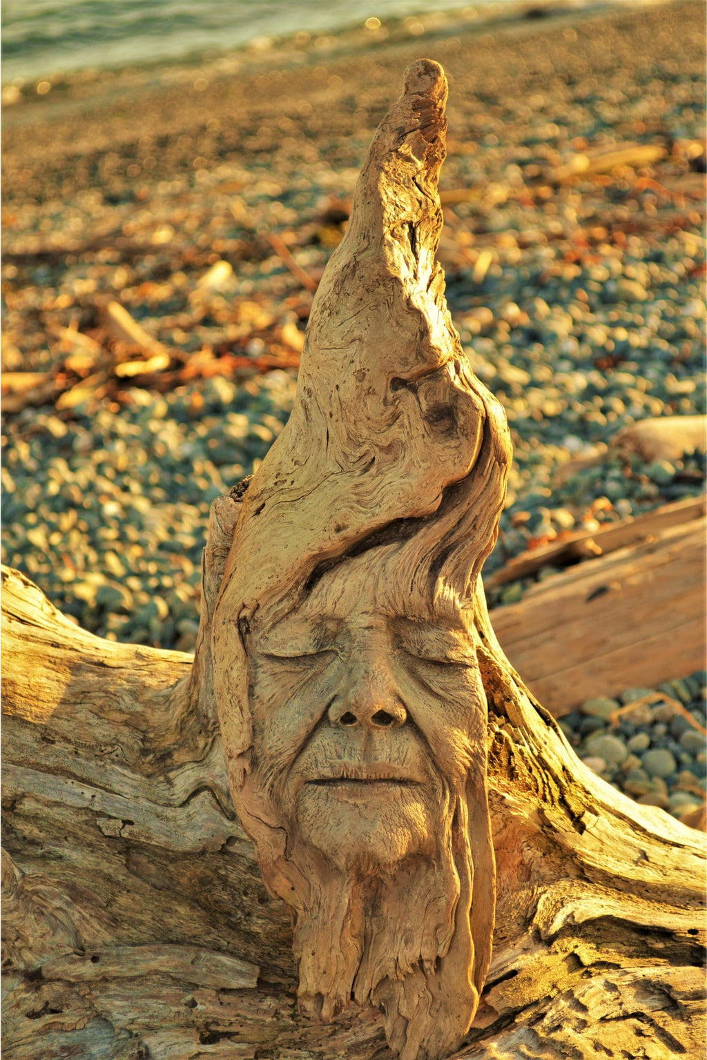 FREE SHIPPING - Art Card, Wisdom in Wood, by Debra Bernier, Shaping Spirit
