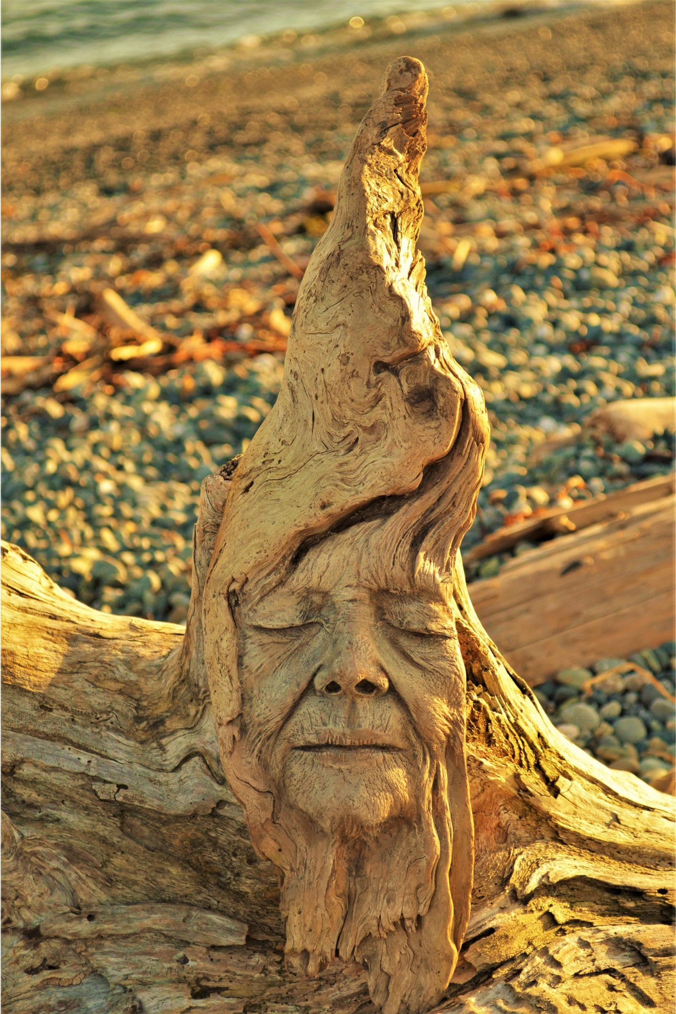 FREE SHIPPING - Art Card, Wisdom in Wood, by Debra Bernier, Shaping Spirit