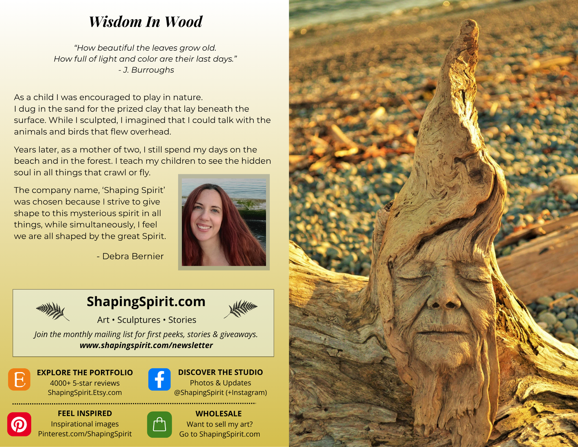 Wisdom in Wood - Elder Wisdom Art Card - Nature Inspired Greeting Card