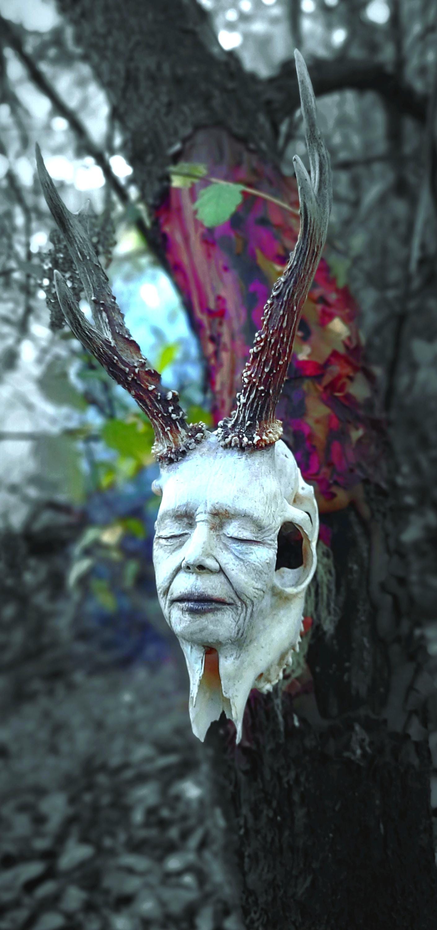 Beauty in Death, Horned Skull Woman, with Dreamcatcher. Sculpture by Debra Bernier