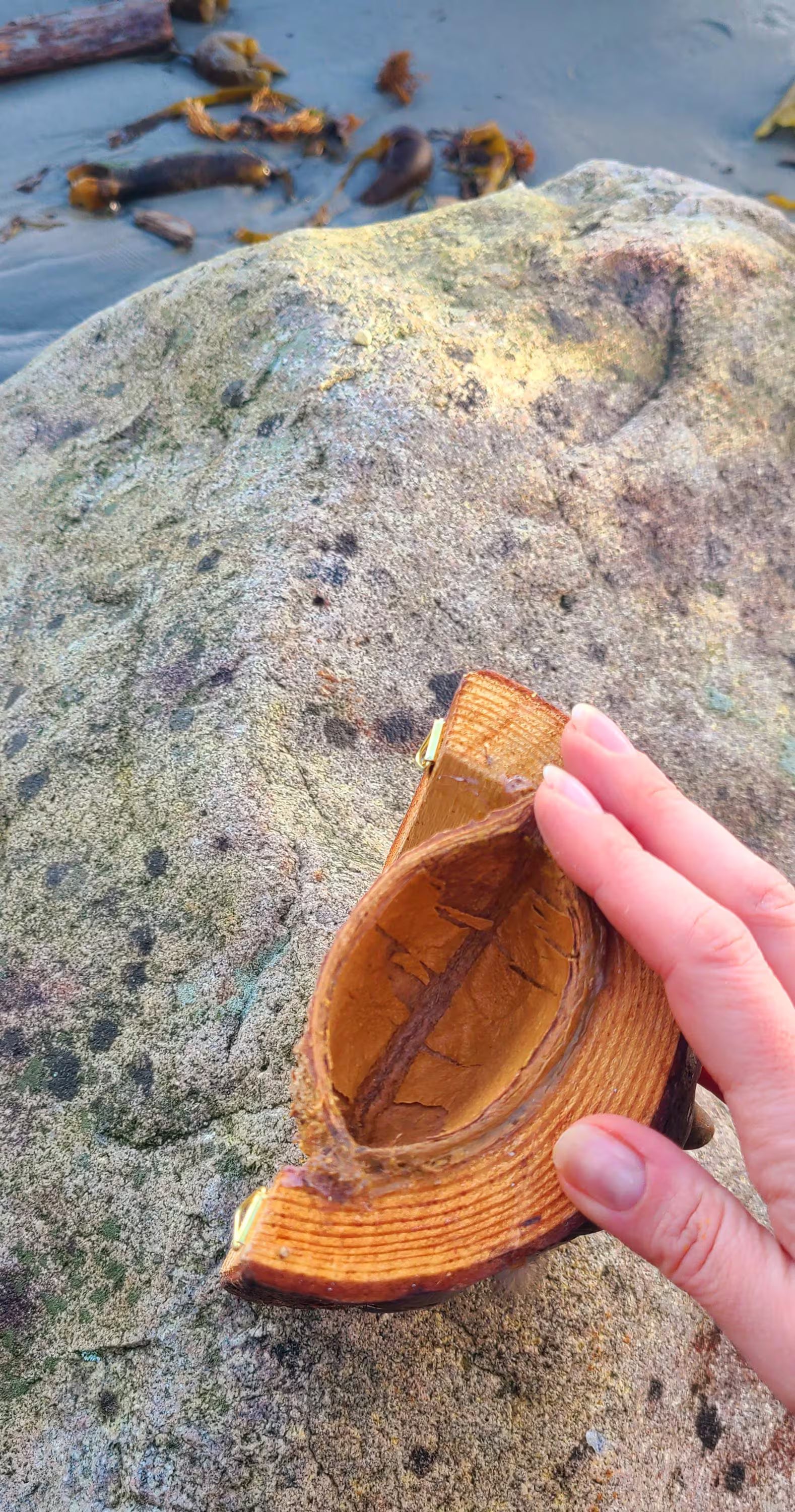 Nature Is Home – Tree Trunk Woman Spirit Sculpture in Wood
