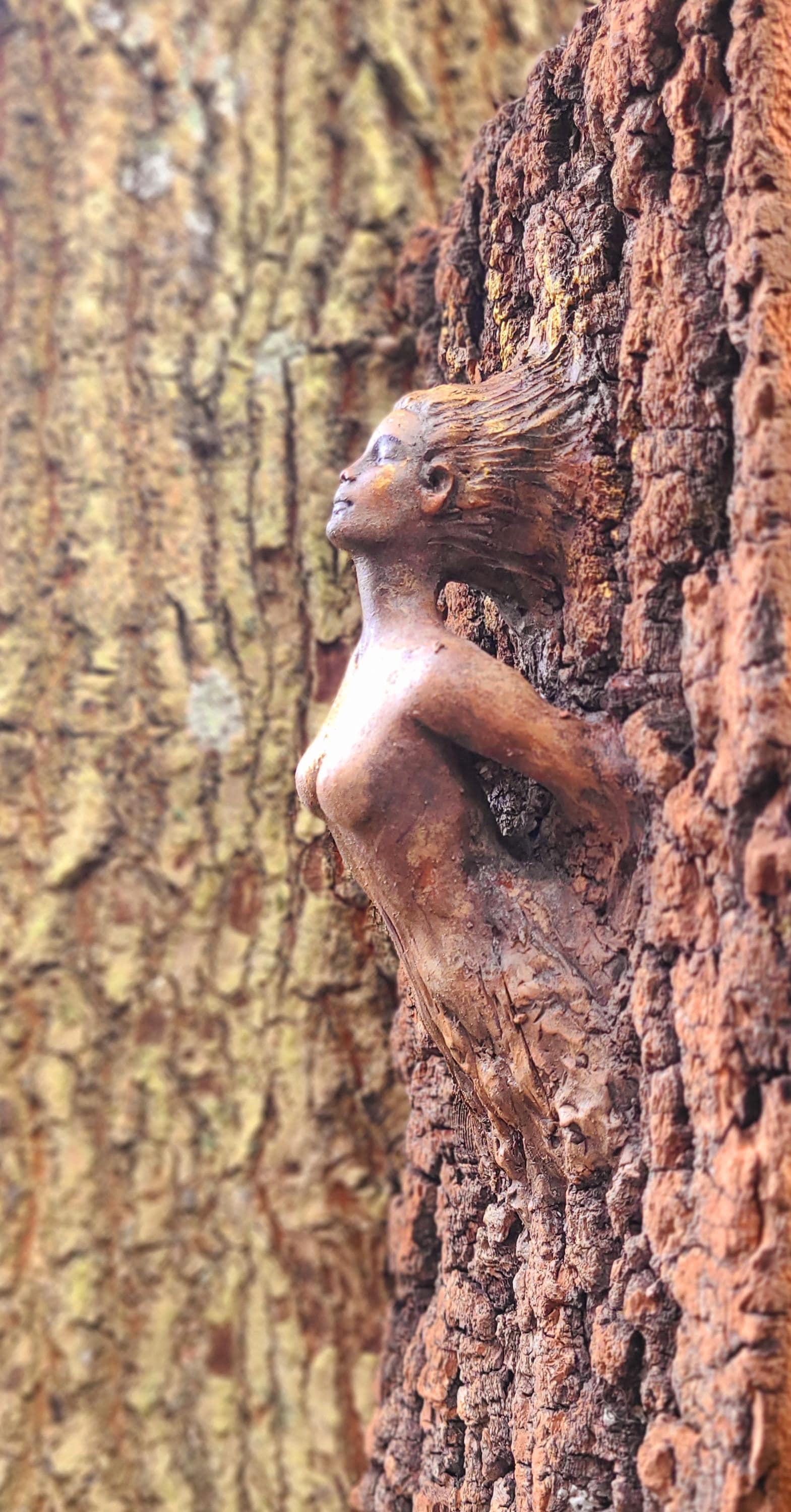 Wooden sculpture of a woman coming to life out of a tree 