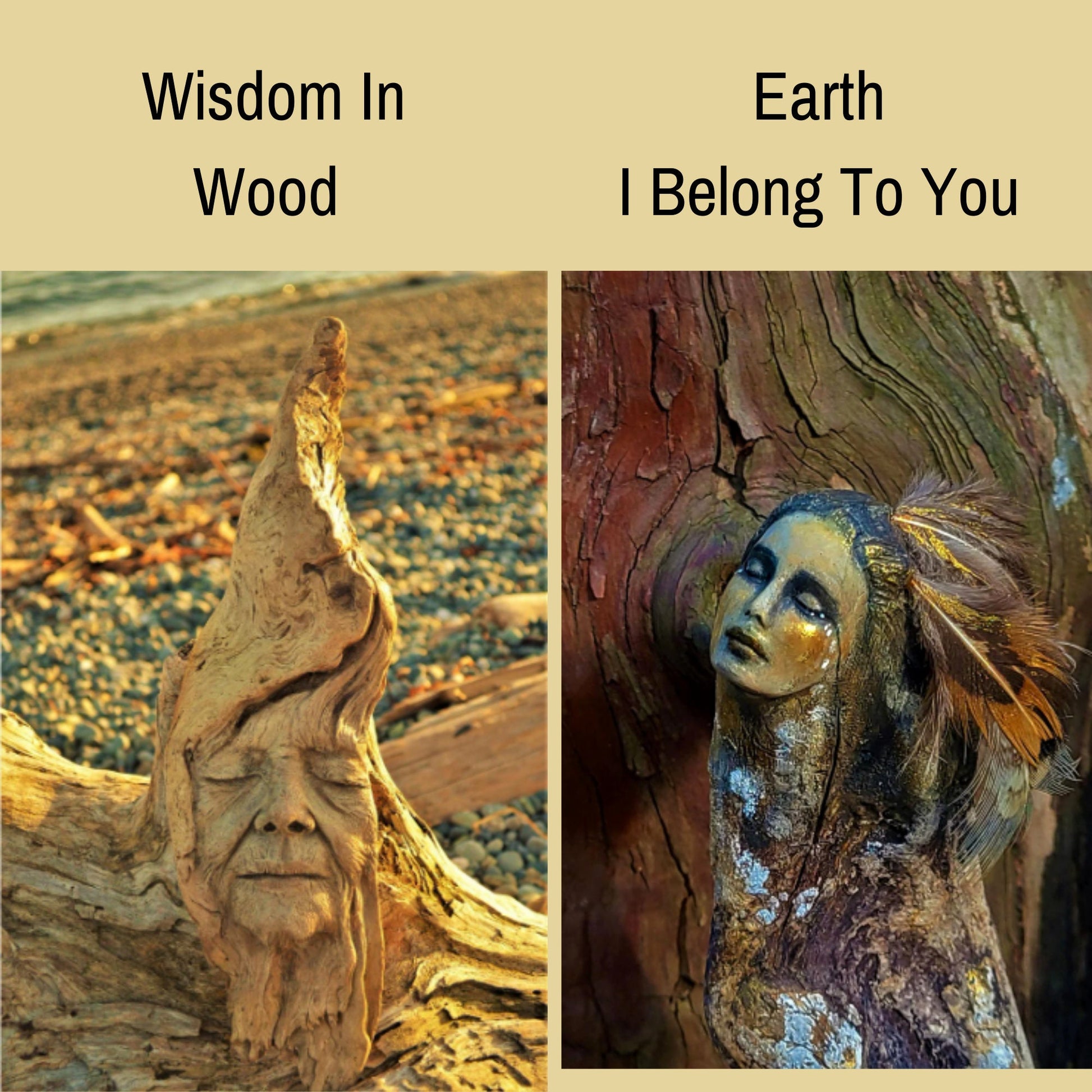 FREE SHIPPING - Art Card, Grandmother Willow, by Debra Bernier, Shaping Spirit