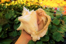 Angel Resting Sculpture, Healing Decor