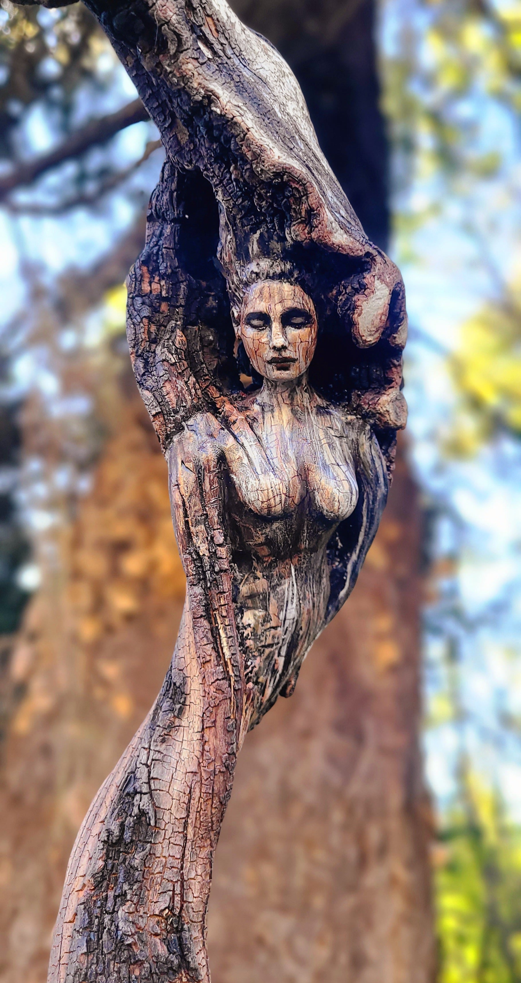 Arbutus Wood Woman | Fine Art Canvas Print
