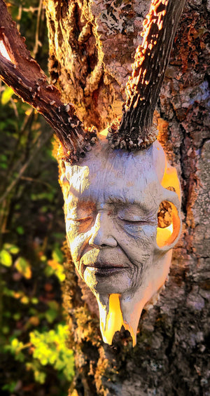 Close up detail of horned skull texture on Beauty in Death original sculptural artwork