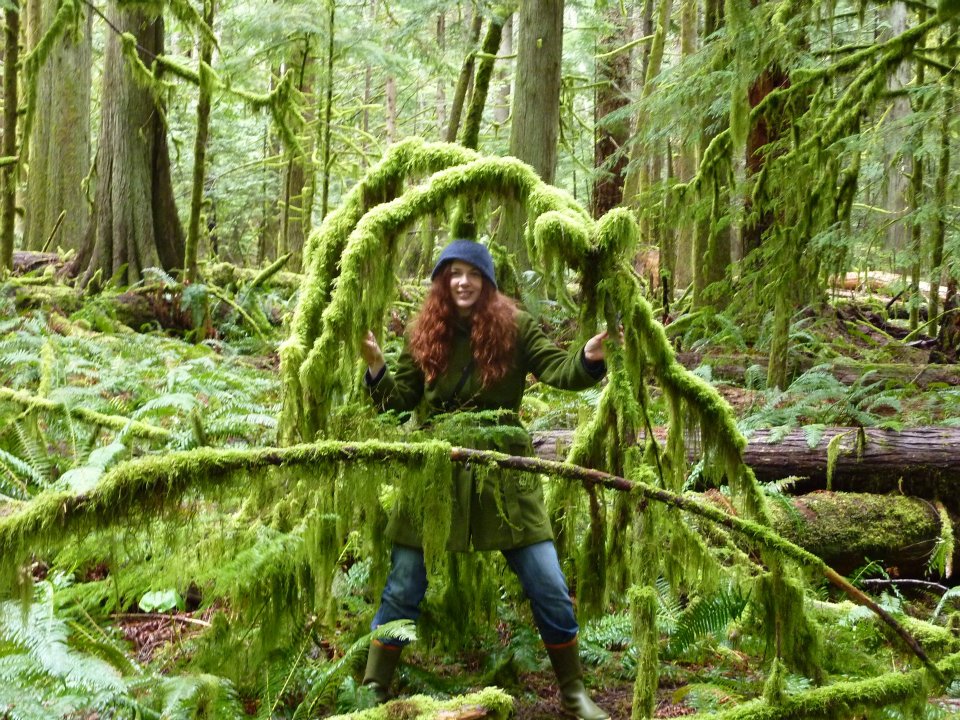 PRESALE! - Wisdom of the Trees