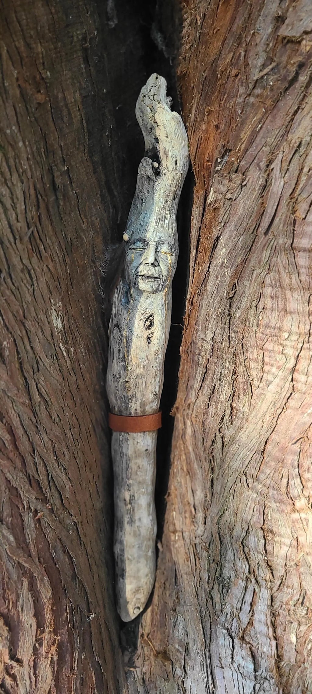 Golden Tears Elder Stick, Driftwood Sculpture
