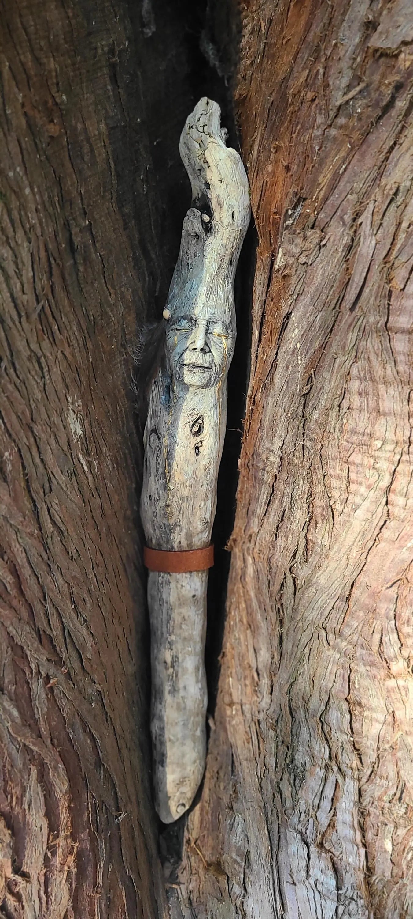 Golden Tears Elder Stick, Driftwood Sculpture