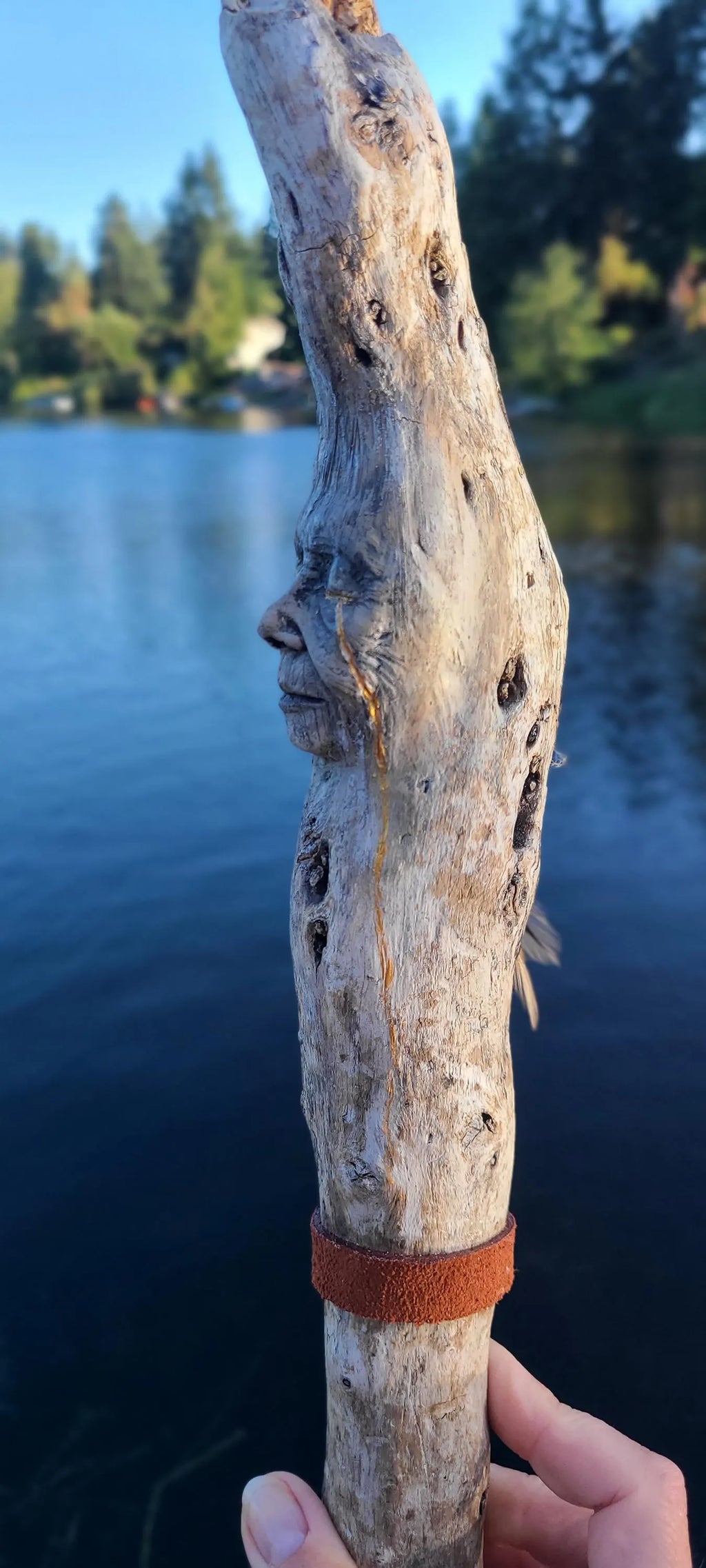 Golden Tears Elder Stick, Driftwood Sculpture