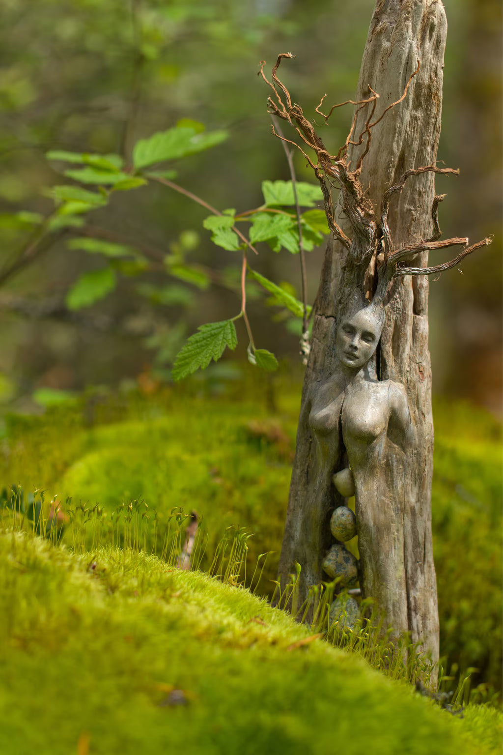 Spirit Tree Woman | Fine Art Canvas Print