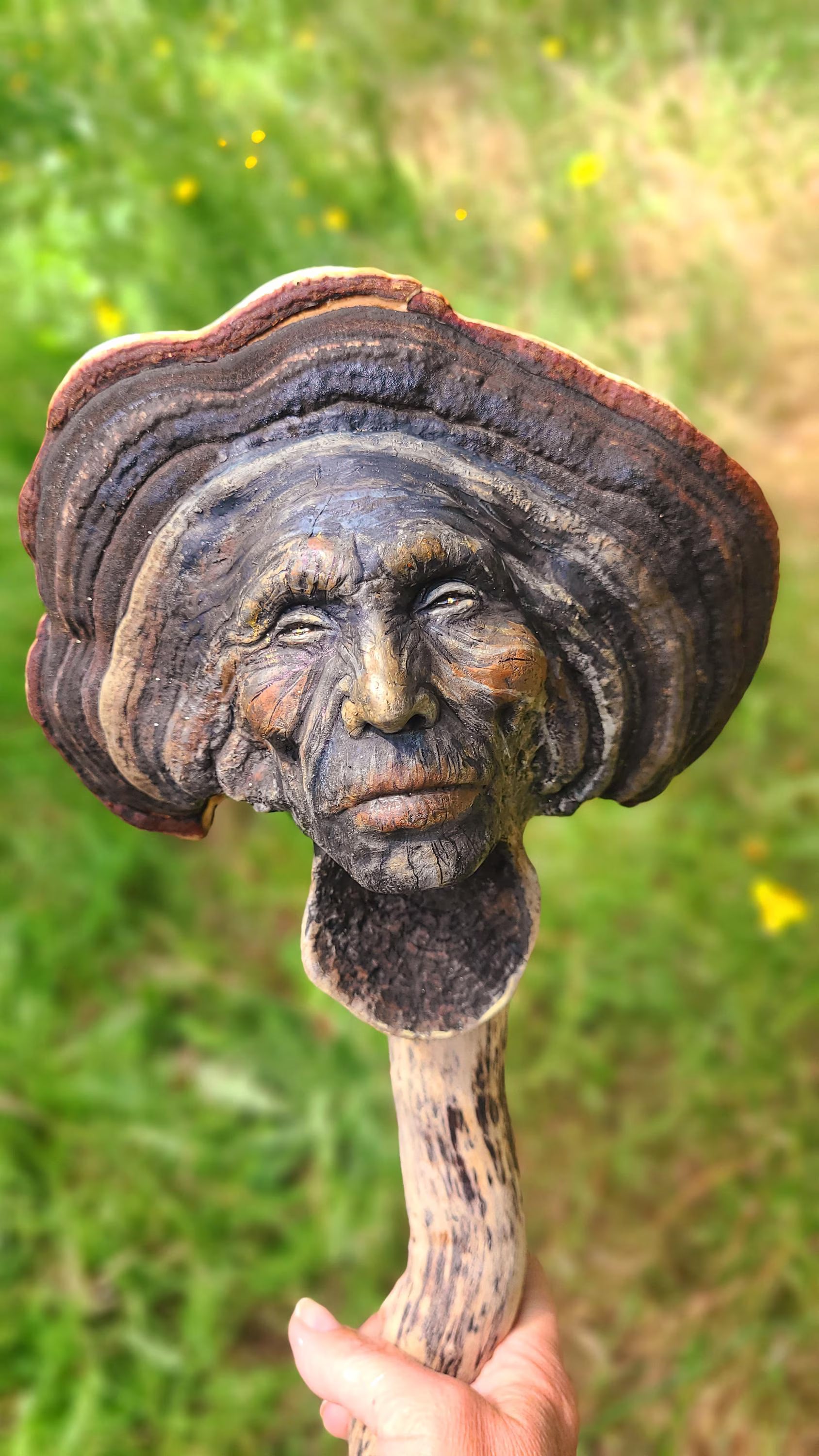 The Mysterious Mushroom | Fungi, Conk Driftwood & Shell Talking Stick
