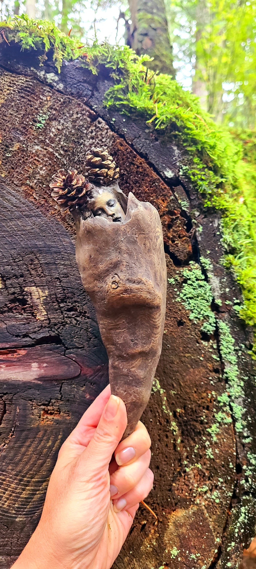 The Hidden Spirit in All Things, Pinecone Pixie, Forest Elf, By Debra Bernier, Shaping Spirit