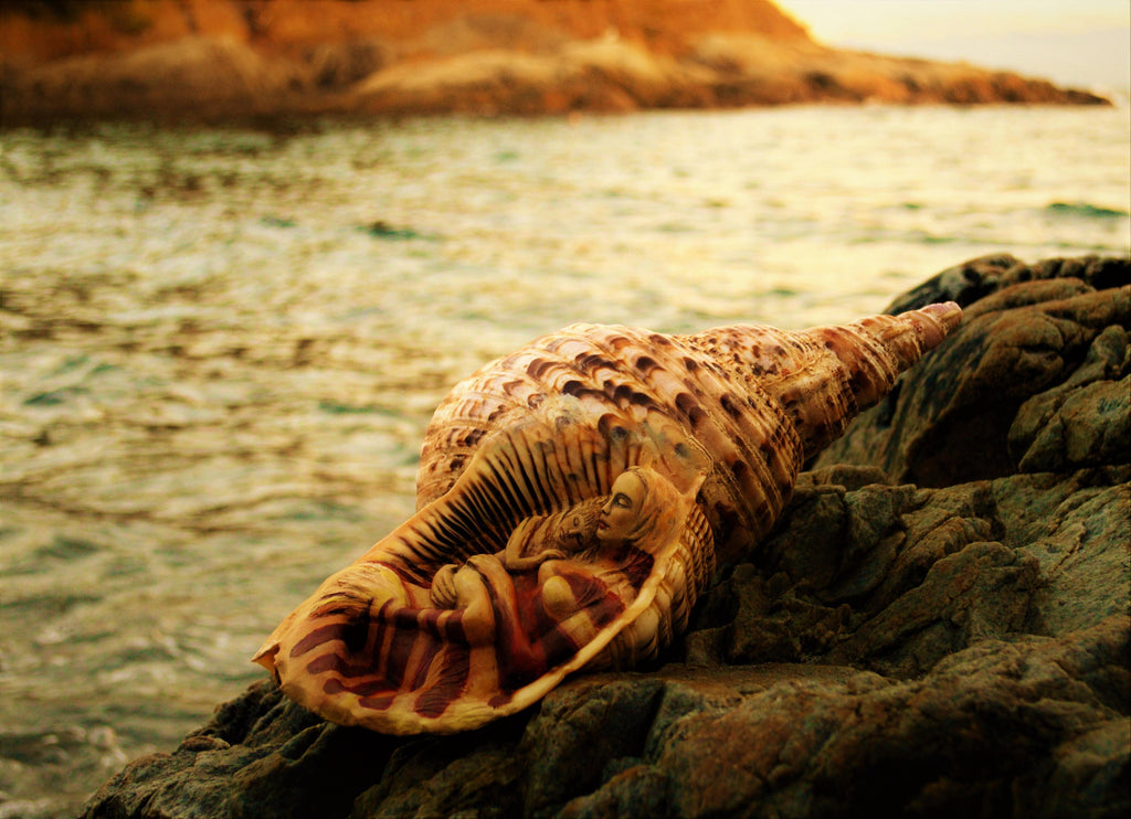 Mermaids in a Shell, By ShapingSpirit, Debra Bernier