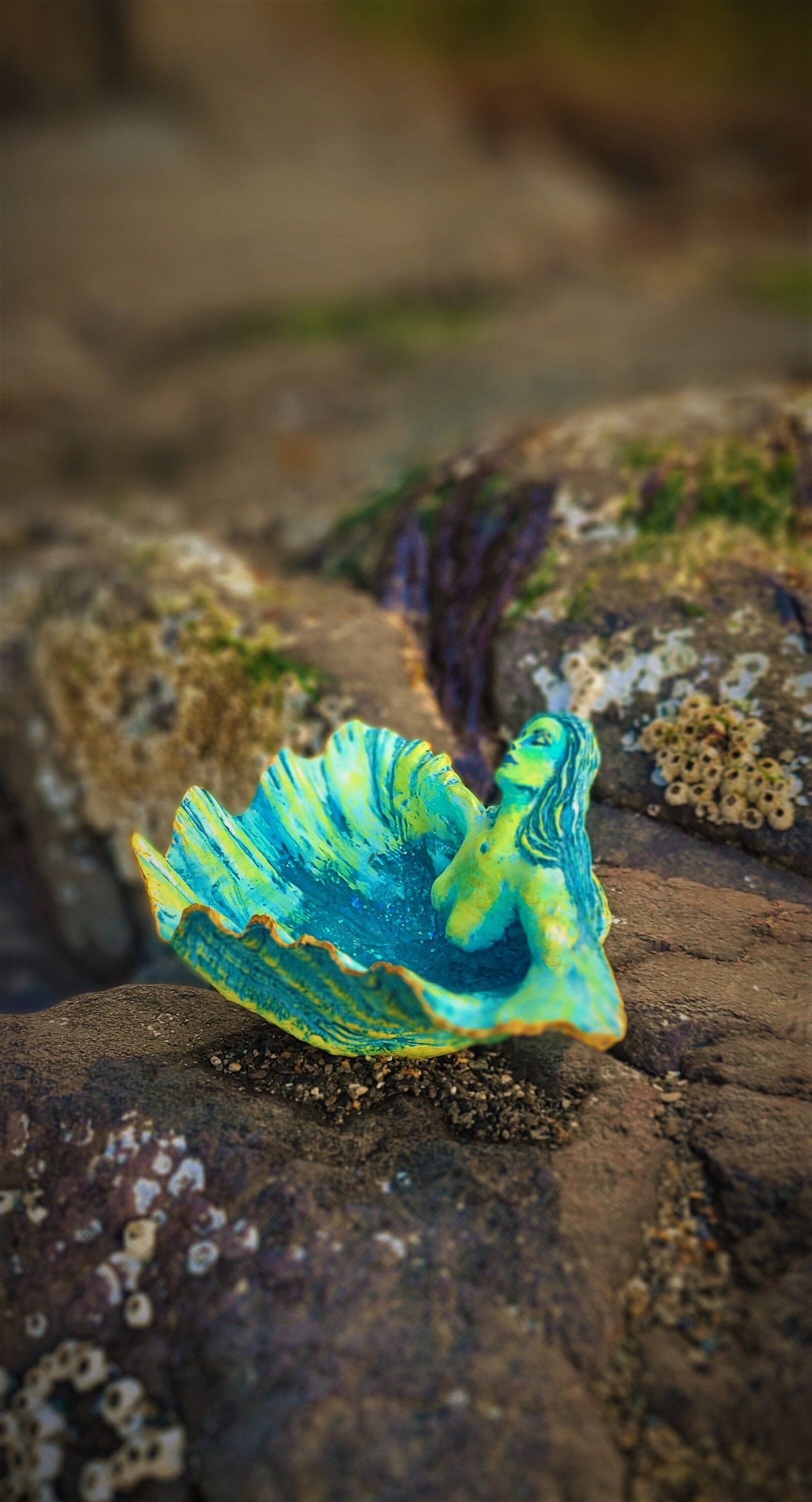 Ocean Treasure Bowl, Clam Shell Goddess, Altar Bowl Sculpture by Shaping Spirit, Debra Bernier