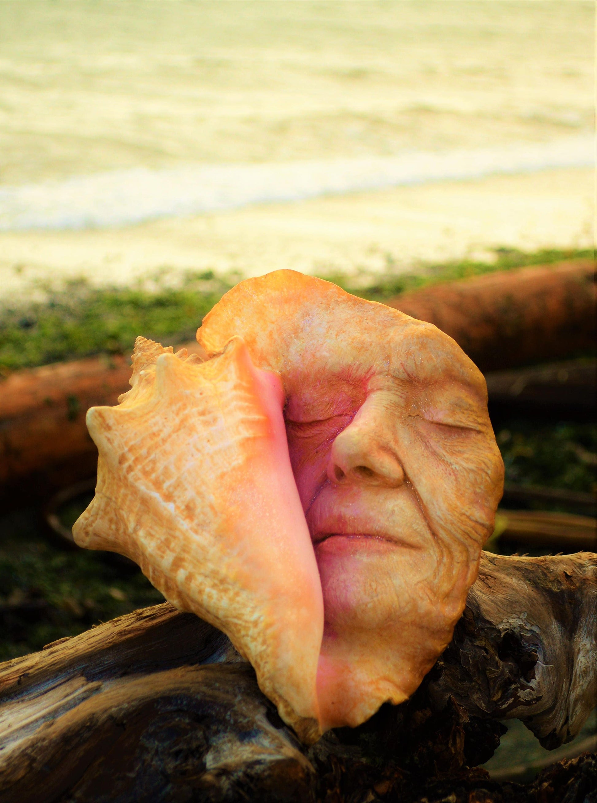 Memories of the Past, Seashell Woman, Beach Secret, Conch Shell Sculpture by ShapingSpirit